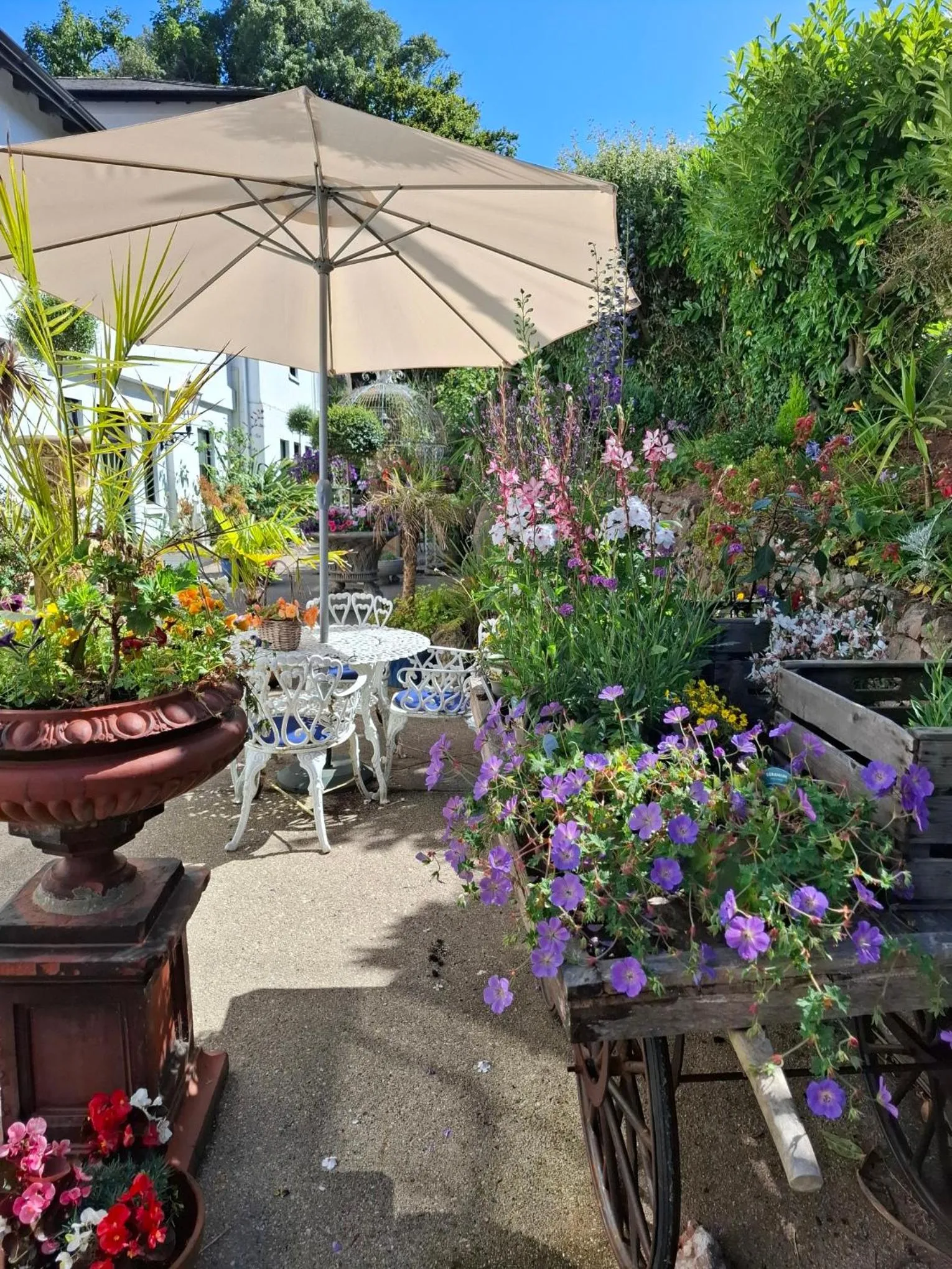 Patio in Palm Grove Apartments