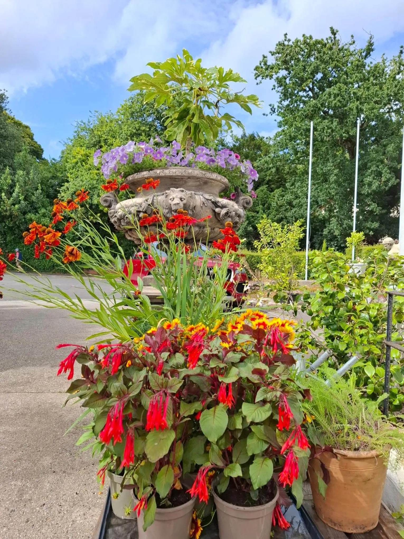 Palm Grove Apartments