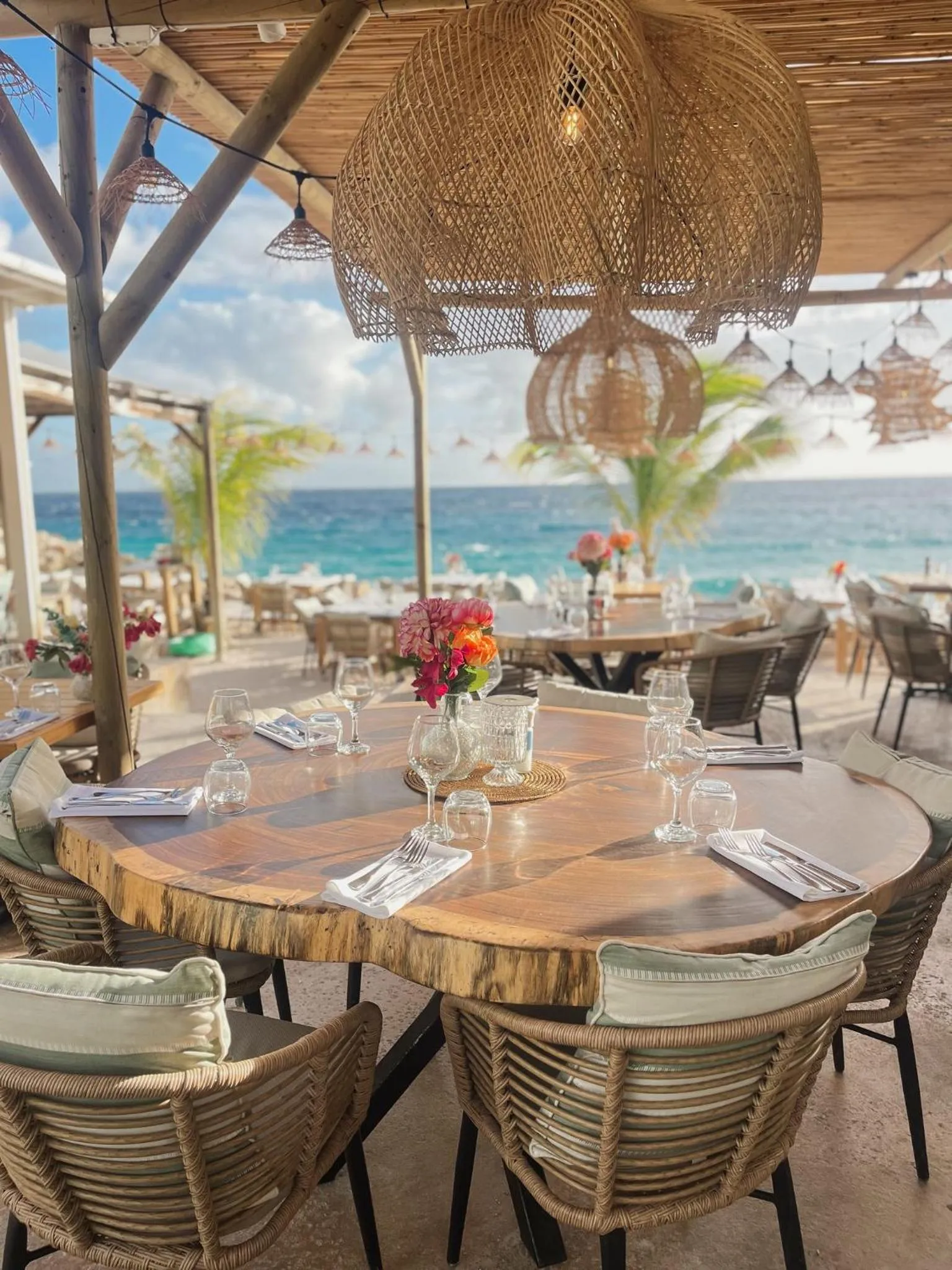 Restaurant/places to eat in BijBlauw