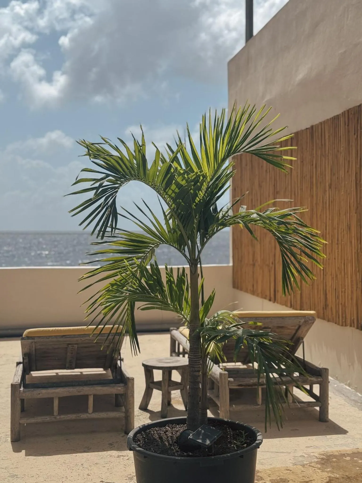 Balcony/Terrace in BijBlauw