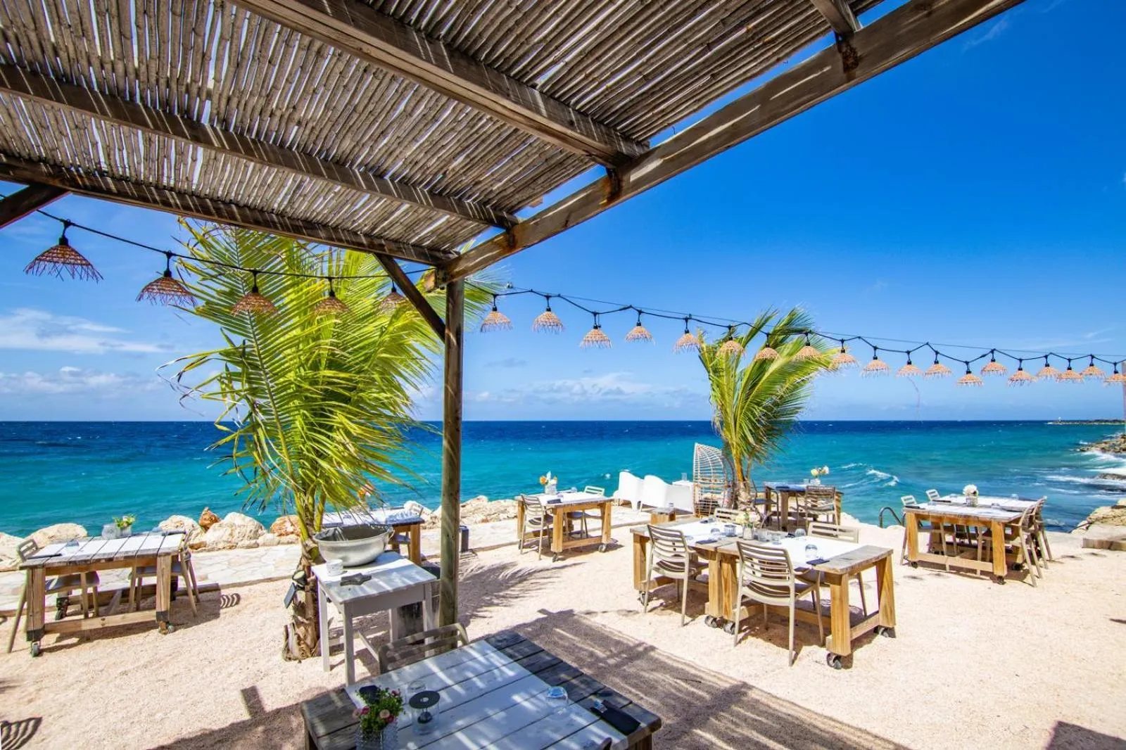 Restaurant/places to eat in BijBlauw