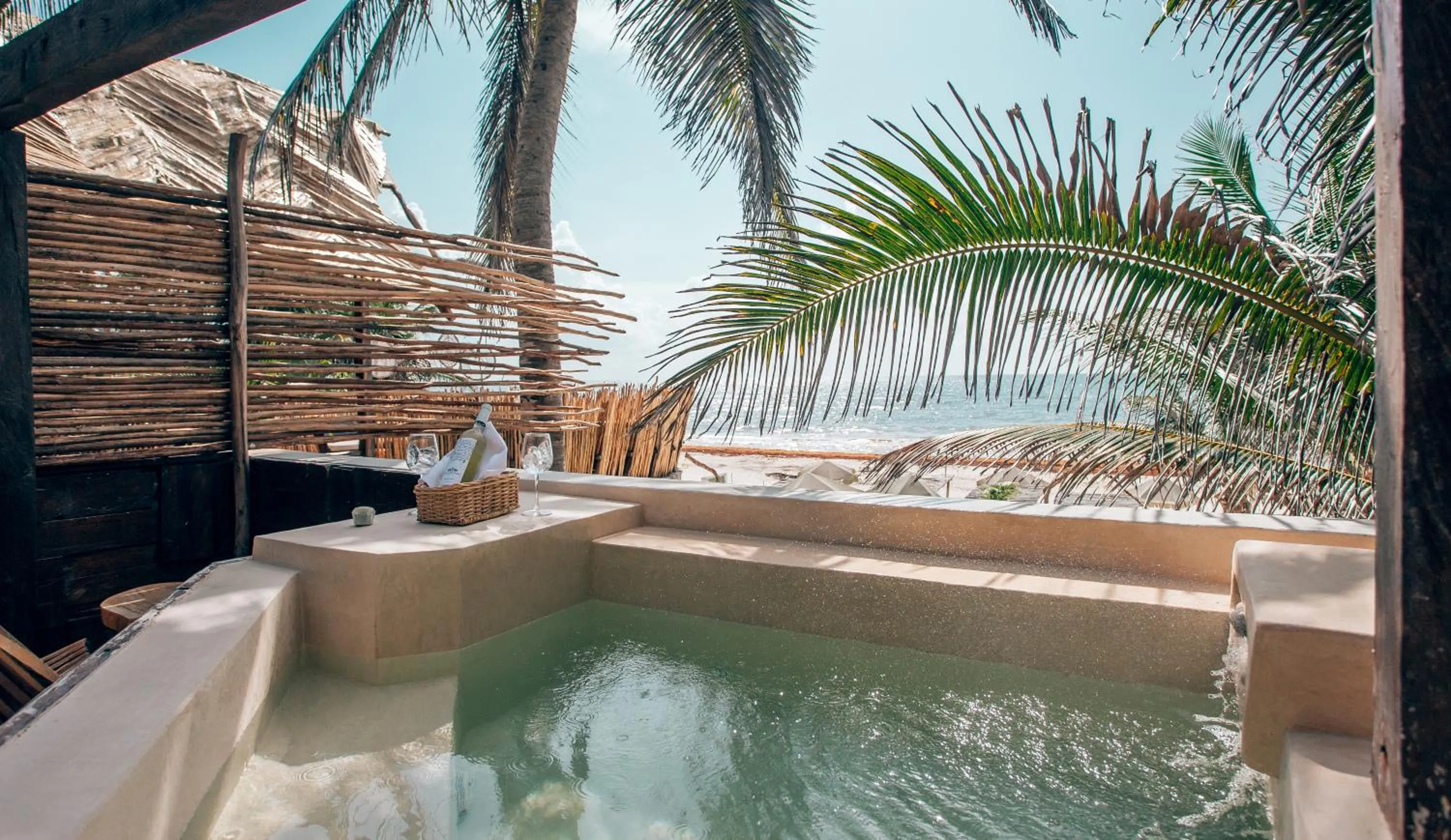 Natural landscape in Orchid House Tulum Beach