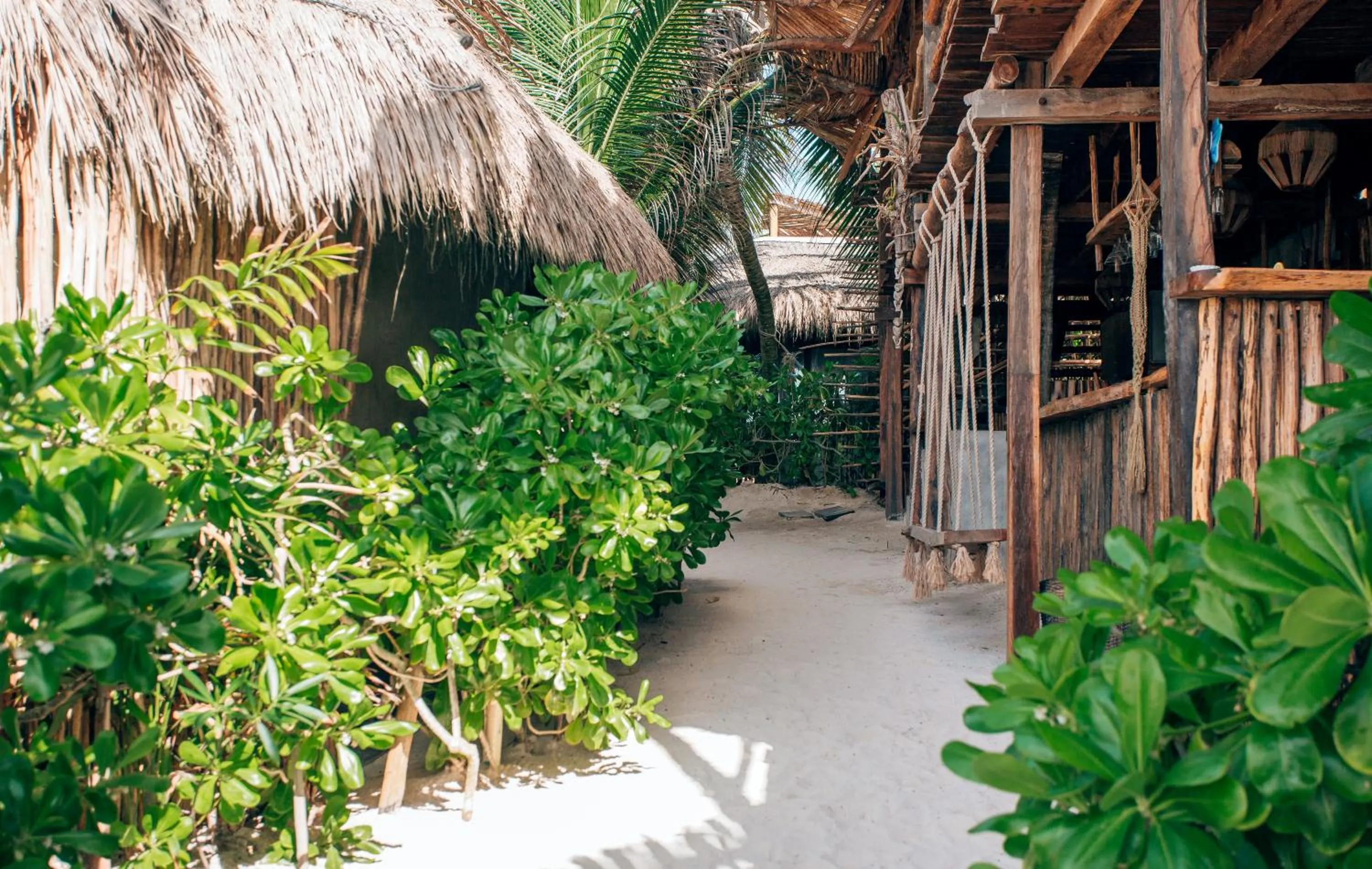 Natural landscape in Orchid House Tulum Beach