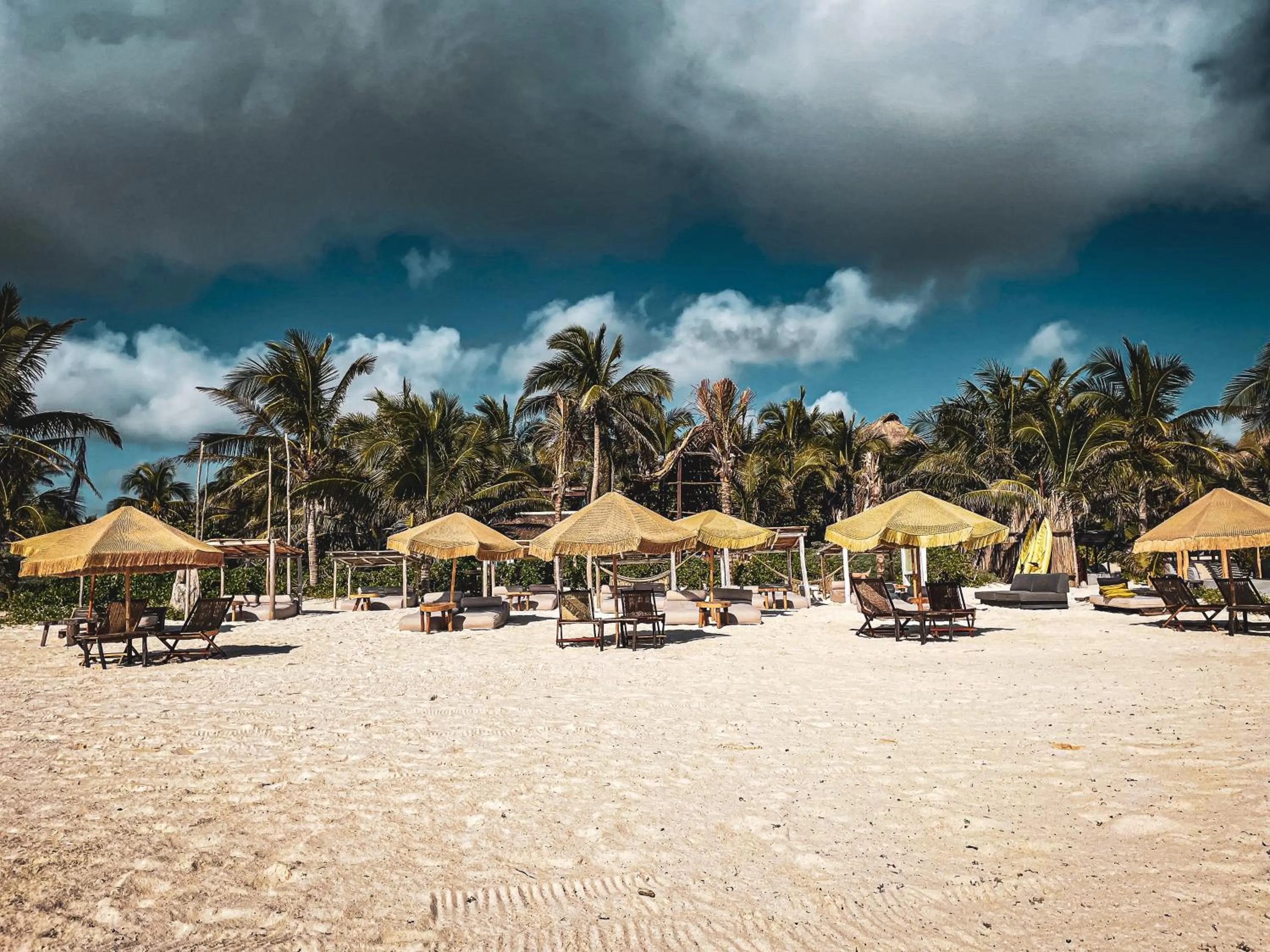 Natural landscape in Orchid House Tulum Beach