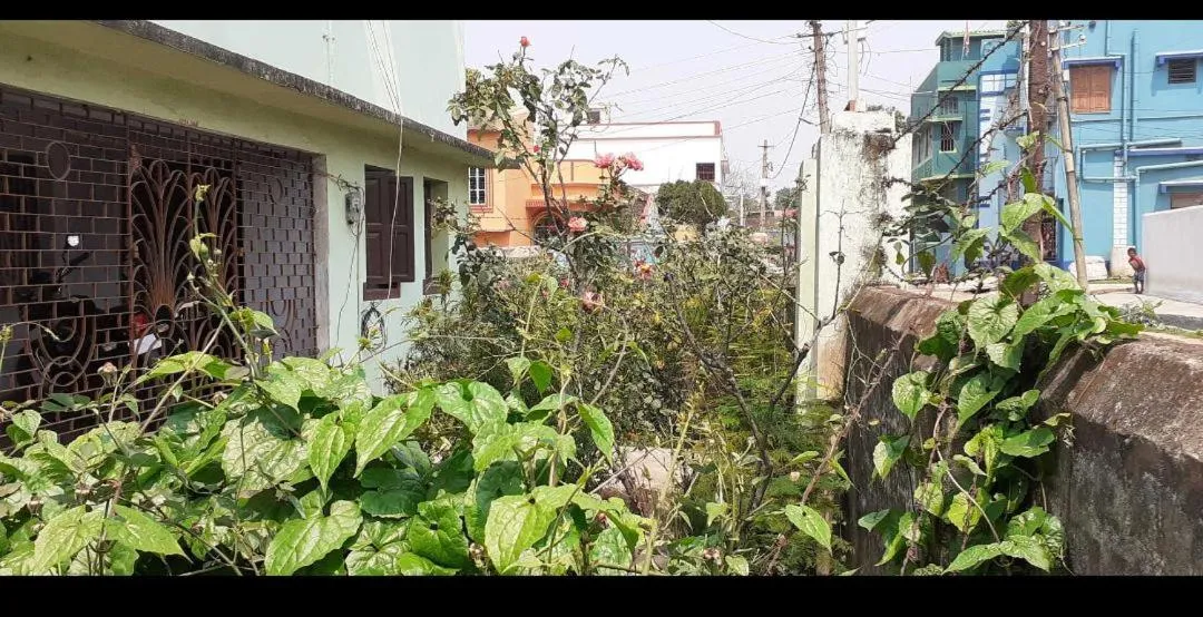 Garden in Sadhana Bhaban