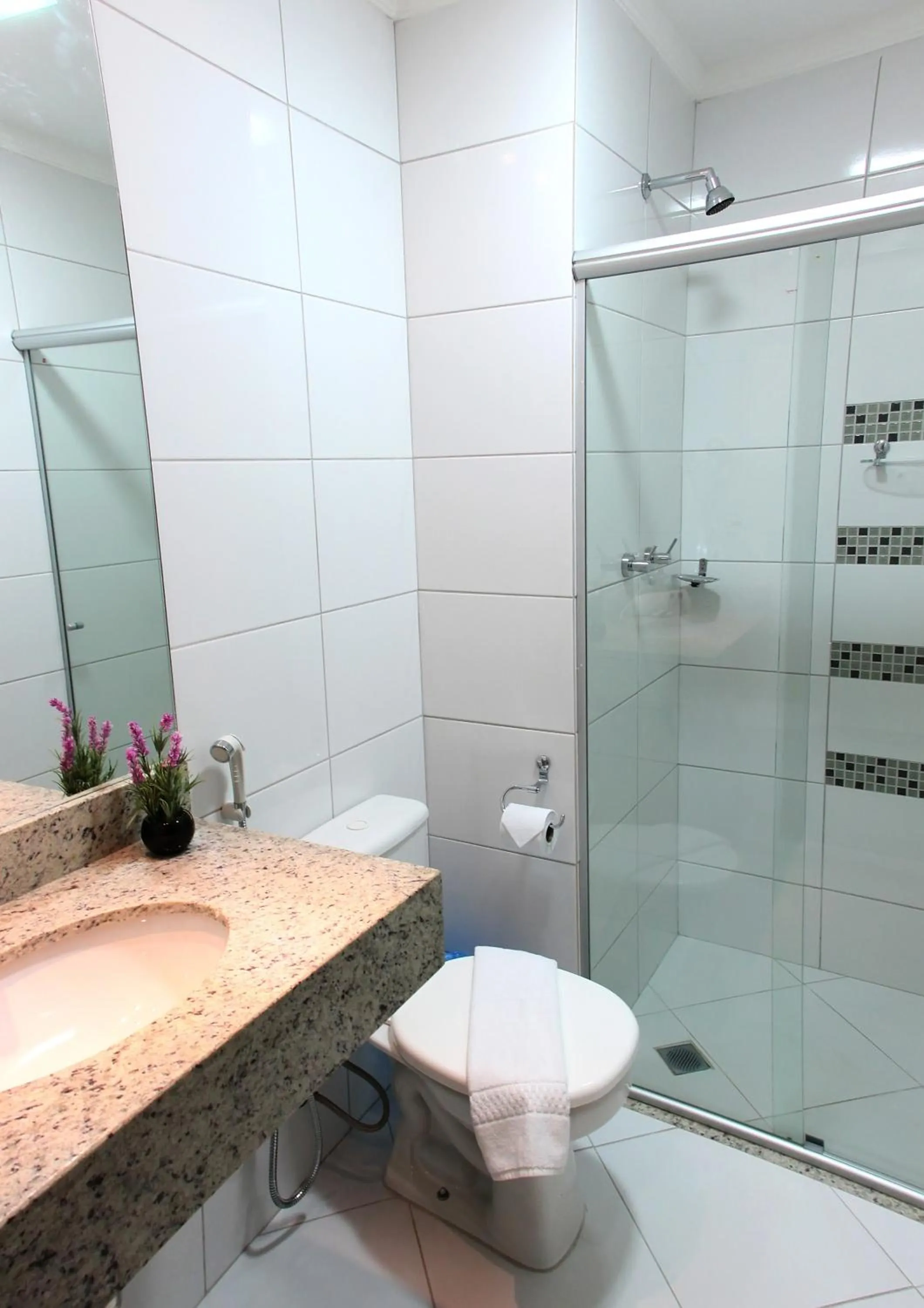 Toilet in L´acordes Hotel