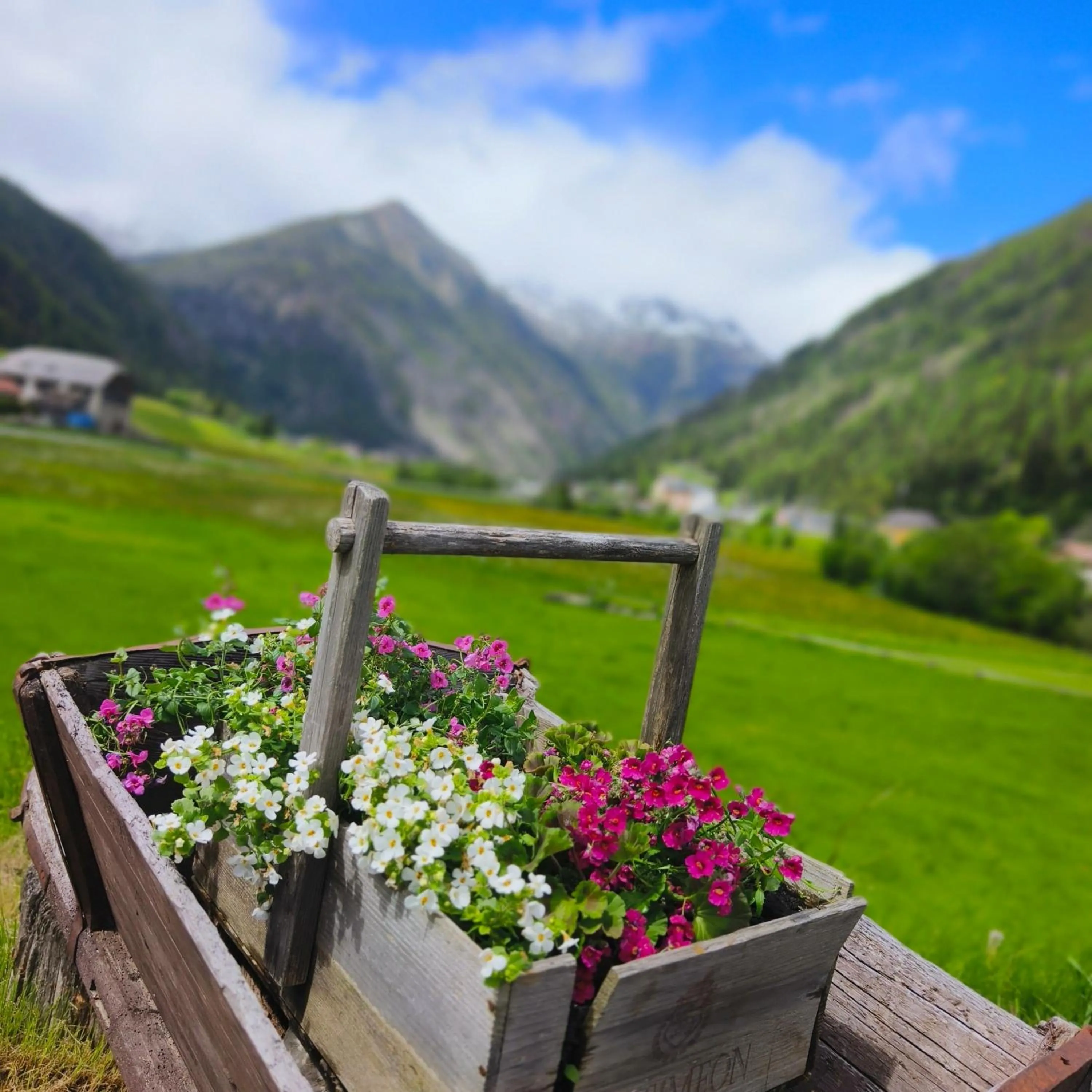 Appartements Alpengarten