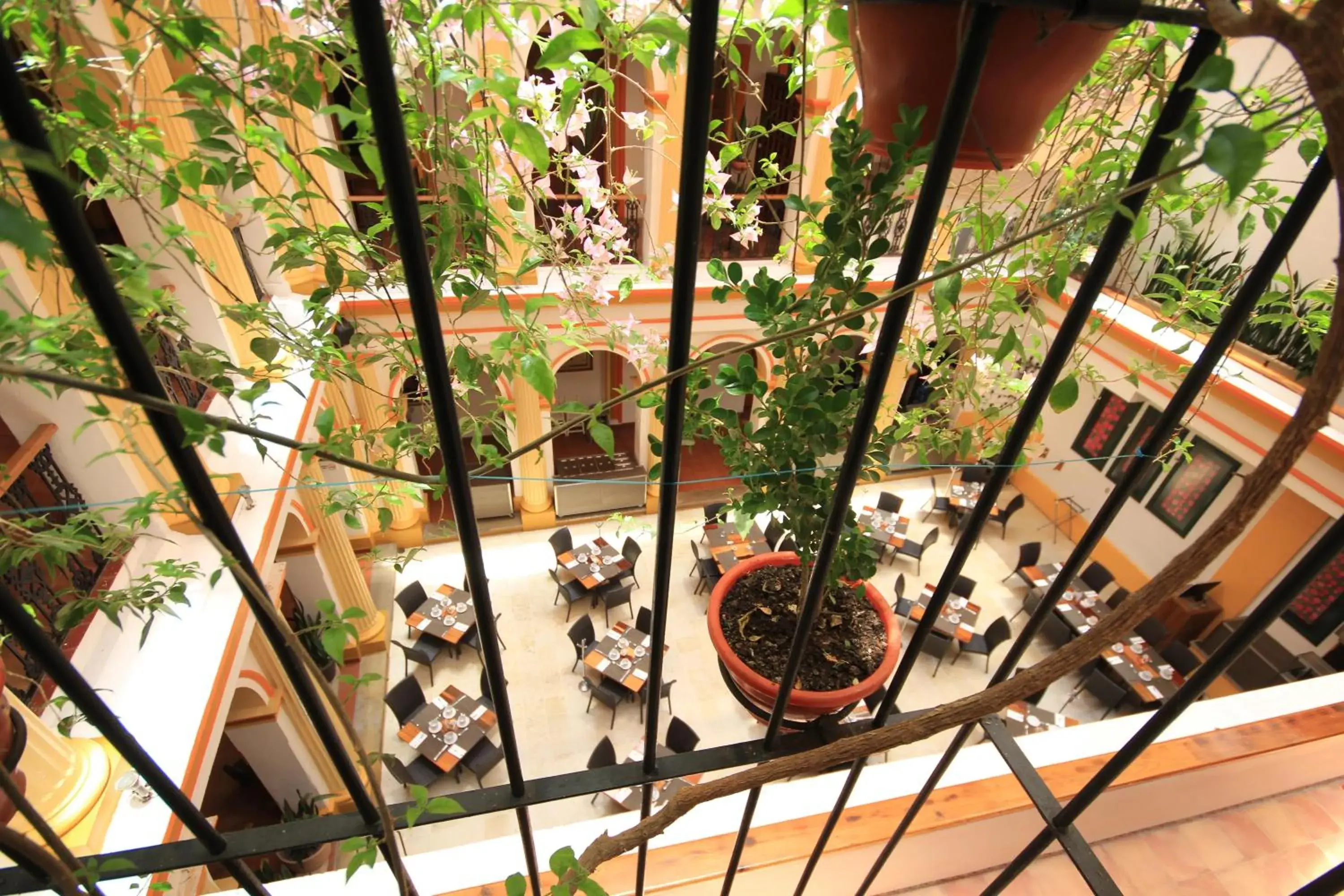 Restaurant/places to eat in Hotel Ciudad Real Centro Historico Restaurant/places to eat in Hotel Ciudad Real Centro Historico