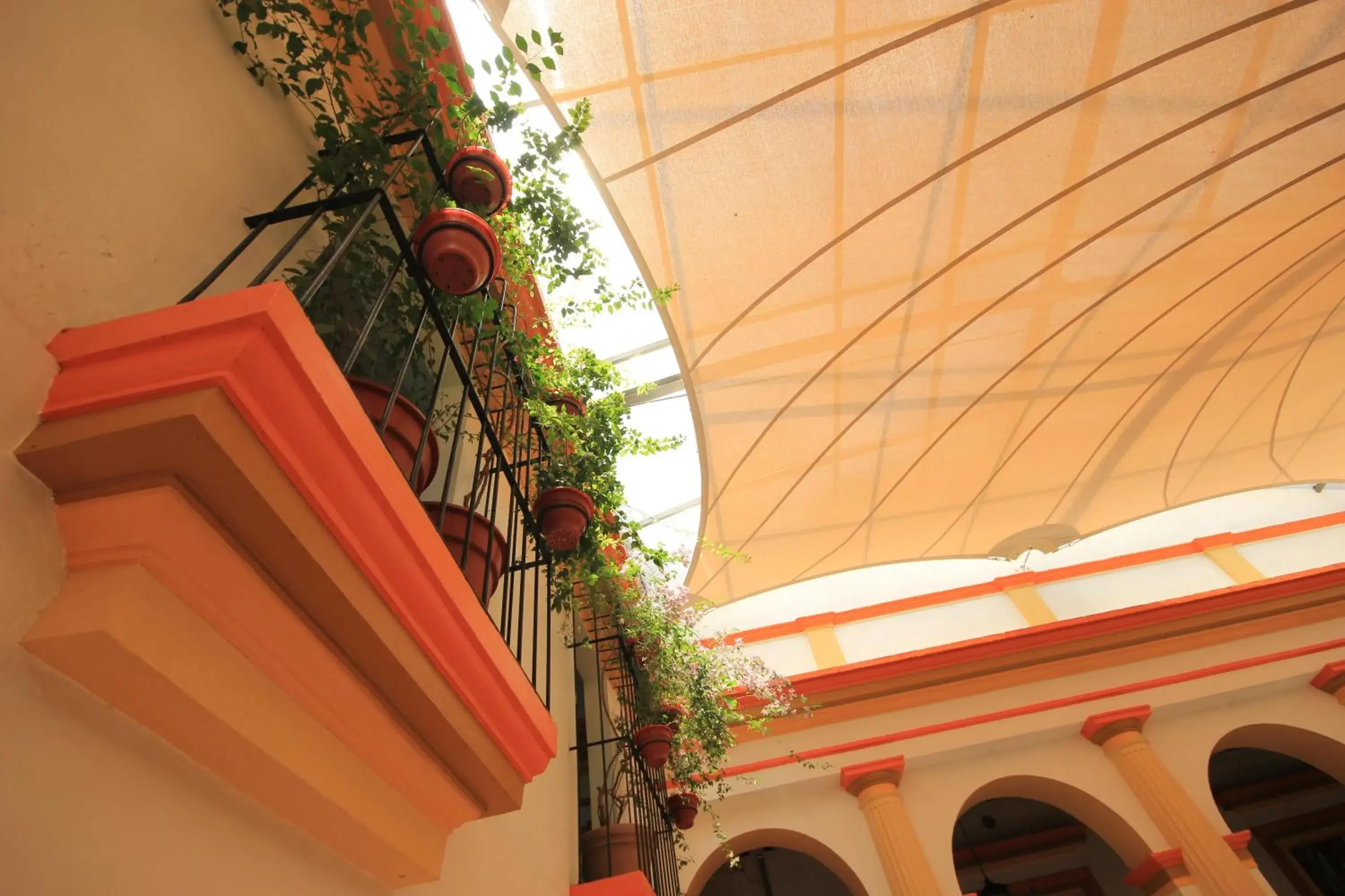 Restaurant/places to eat in Hotel Ciudad Real Centro Historico Restaurant/places to eat in Hotel Ciudad Real Centro Historico