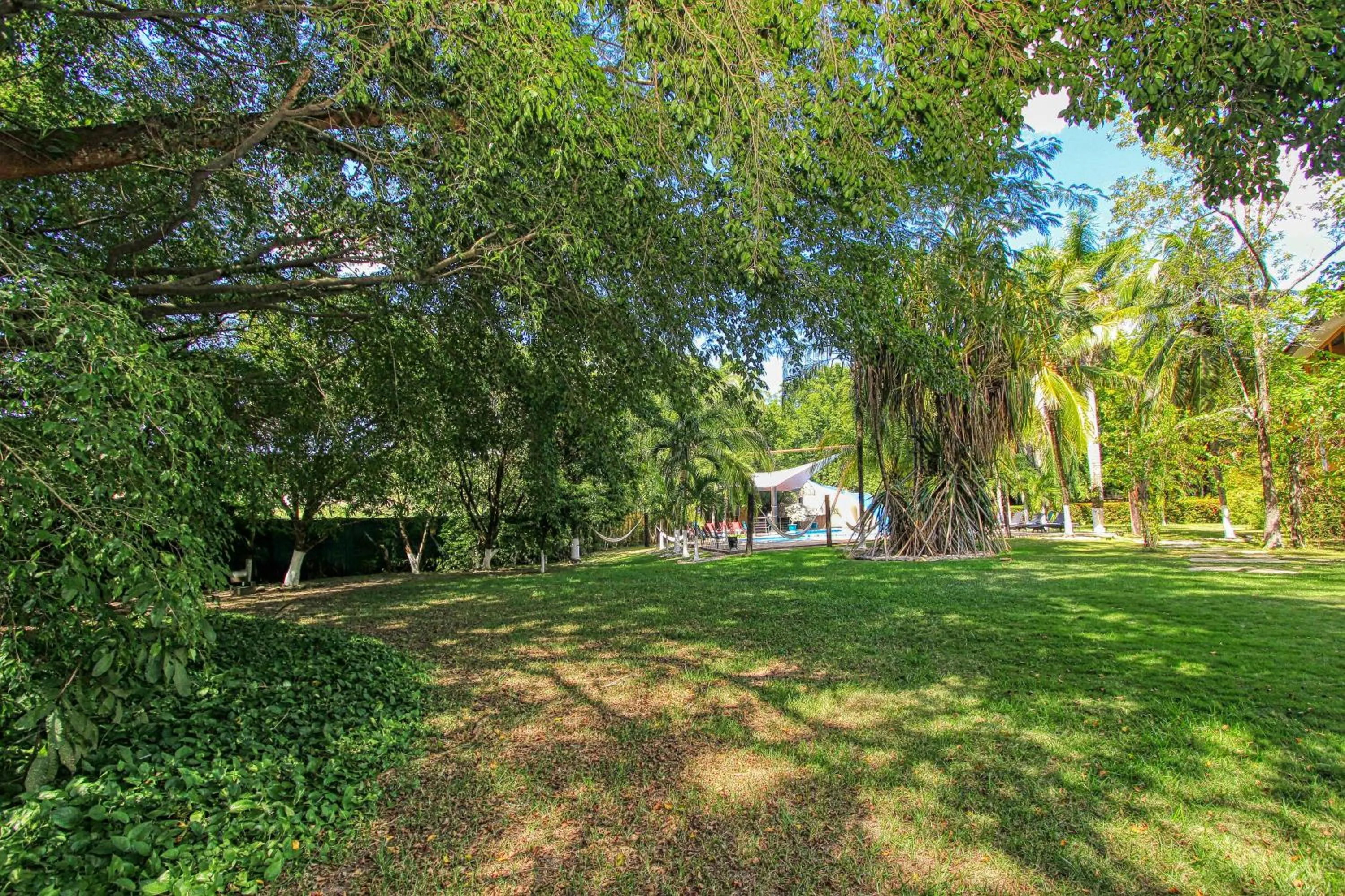 Garden in Hotel Ciudad Real Palenque