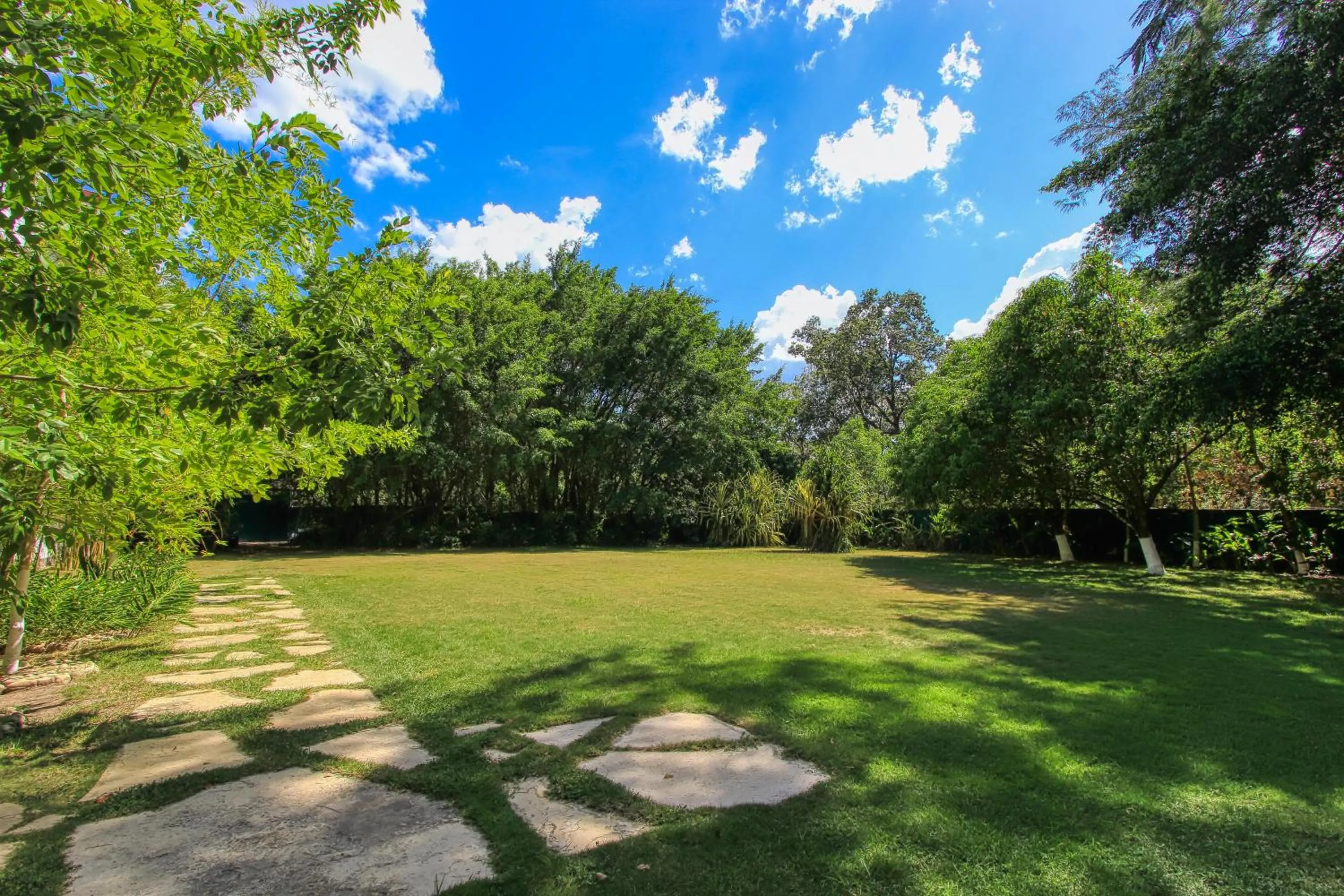 Garden in Hotel Ciudad Real Palenque