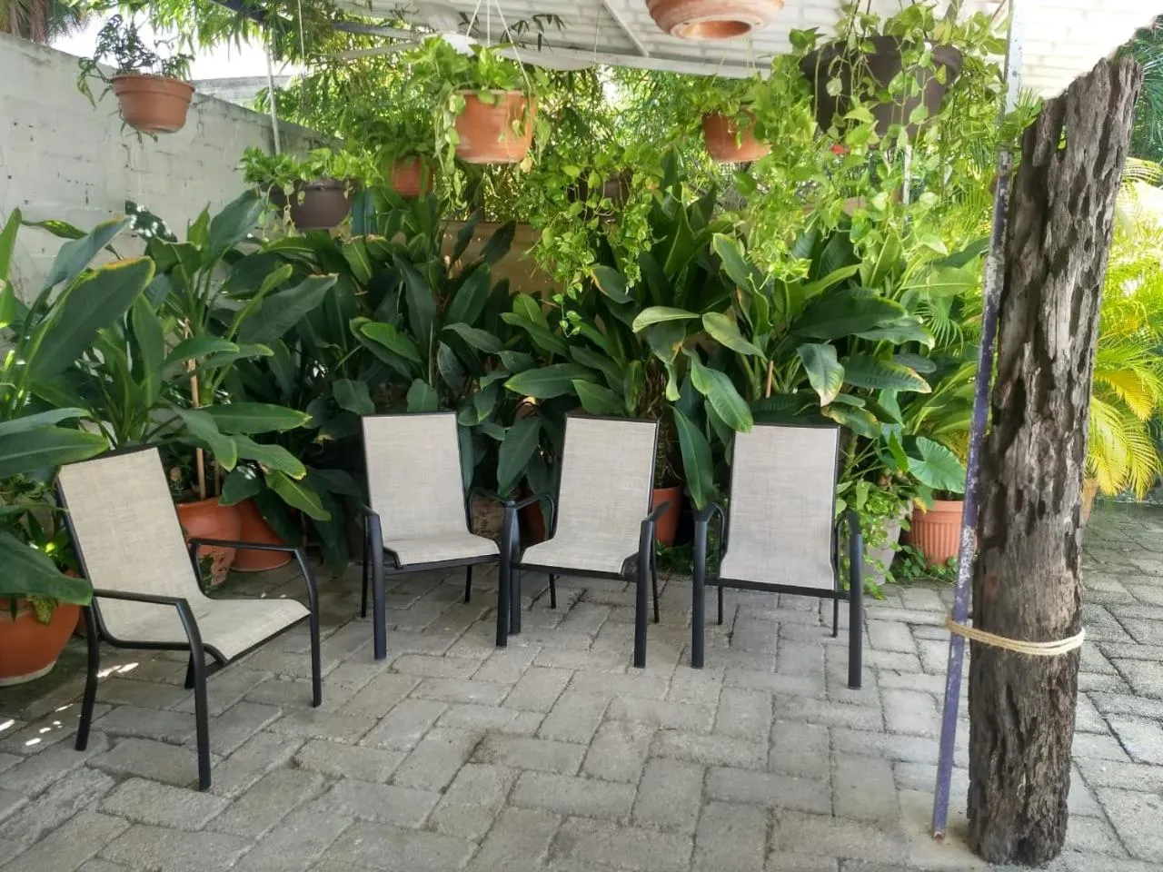 Hotel Arenas del Pacifico