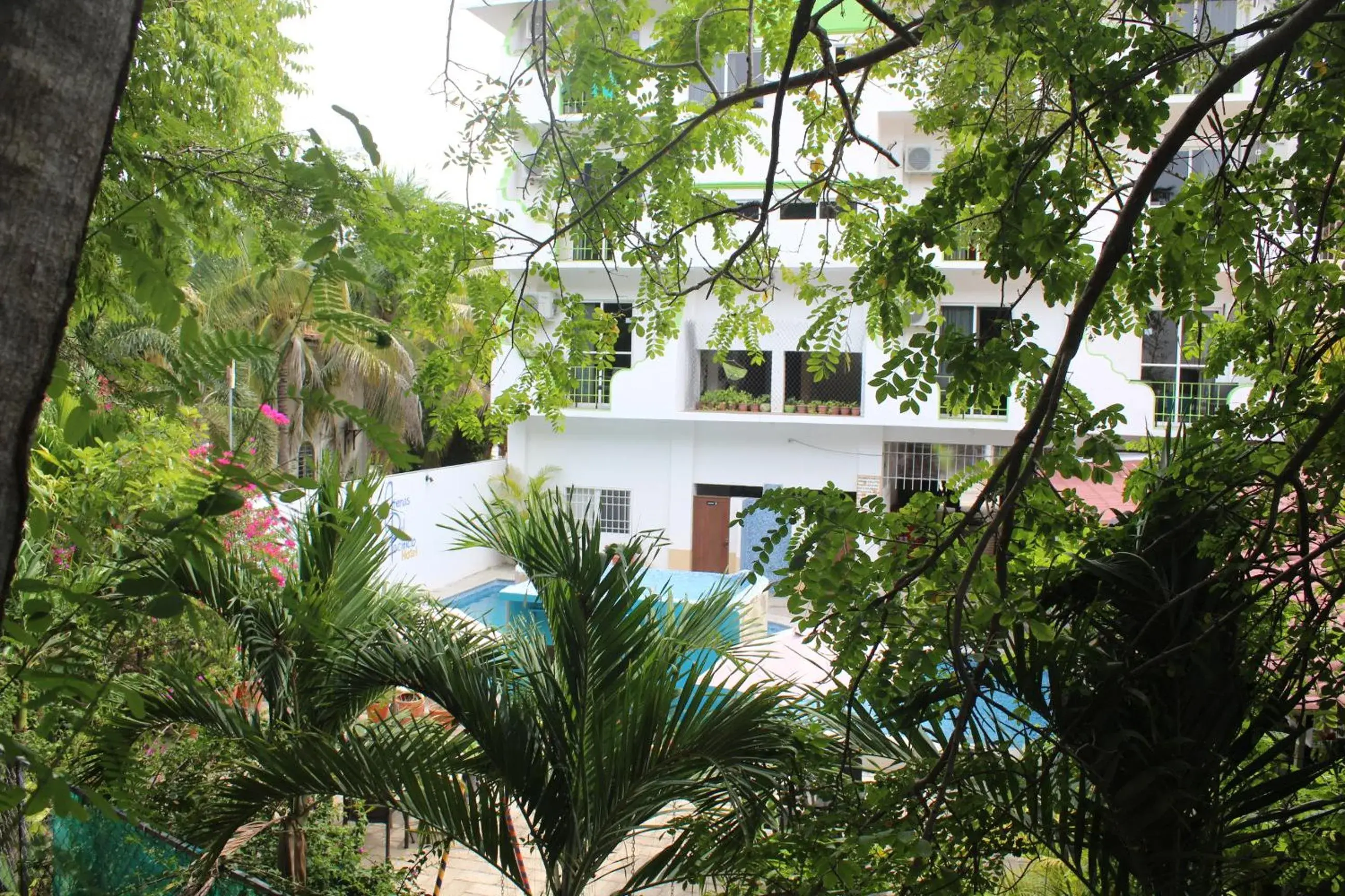 Double Room with Two Double Beds - single occupancy in Hotel Arenas del Pacifico Double Room with Two Double Beds - single occupancy in Hotel Arenas del Pacifico