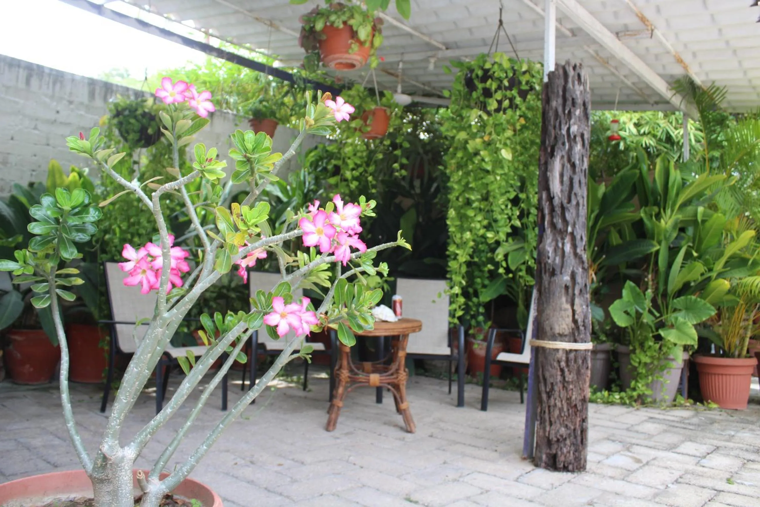 Hotel Arenas del Pacifico