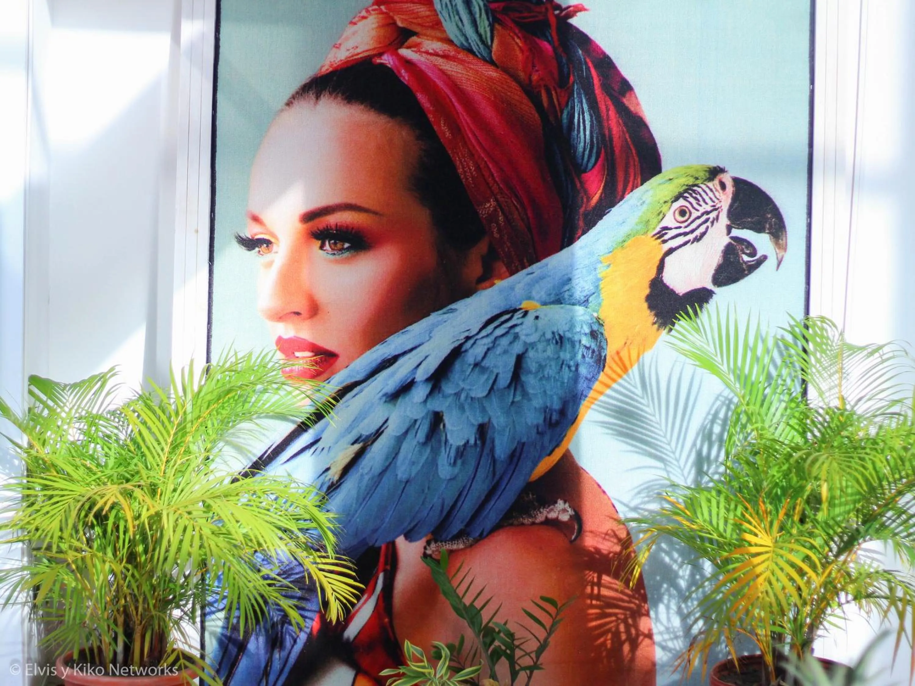 Decorative detail in Hotel Coronado Inn