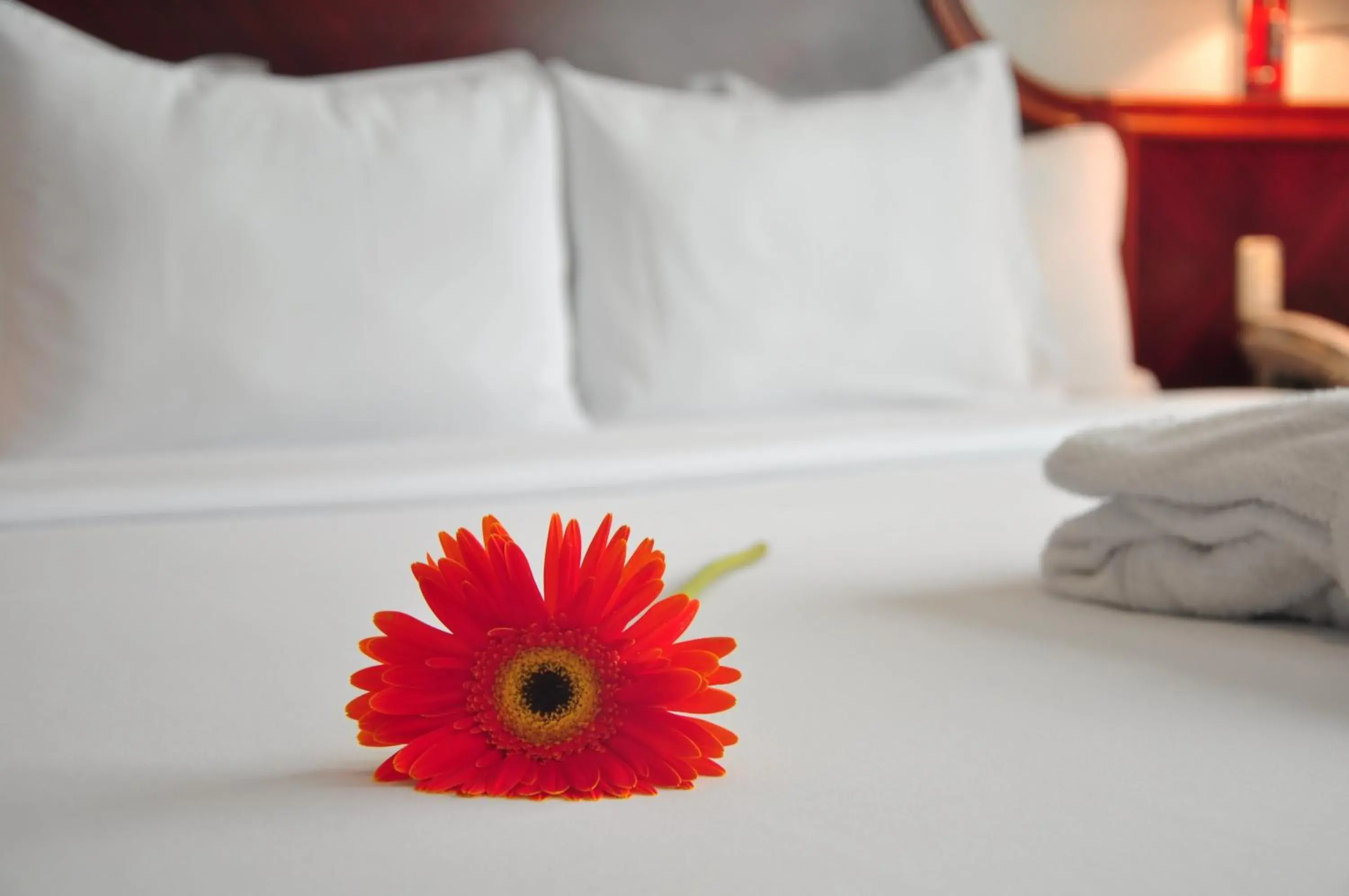 Bed in Kingdom Hotel Bed in Kingdom Hotel