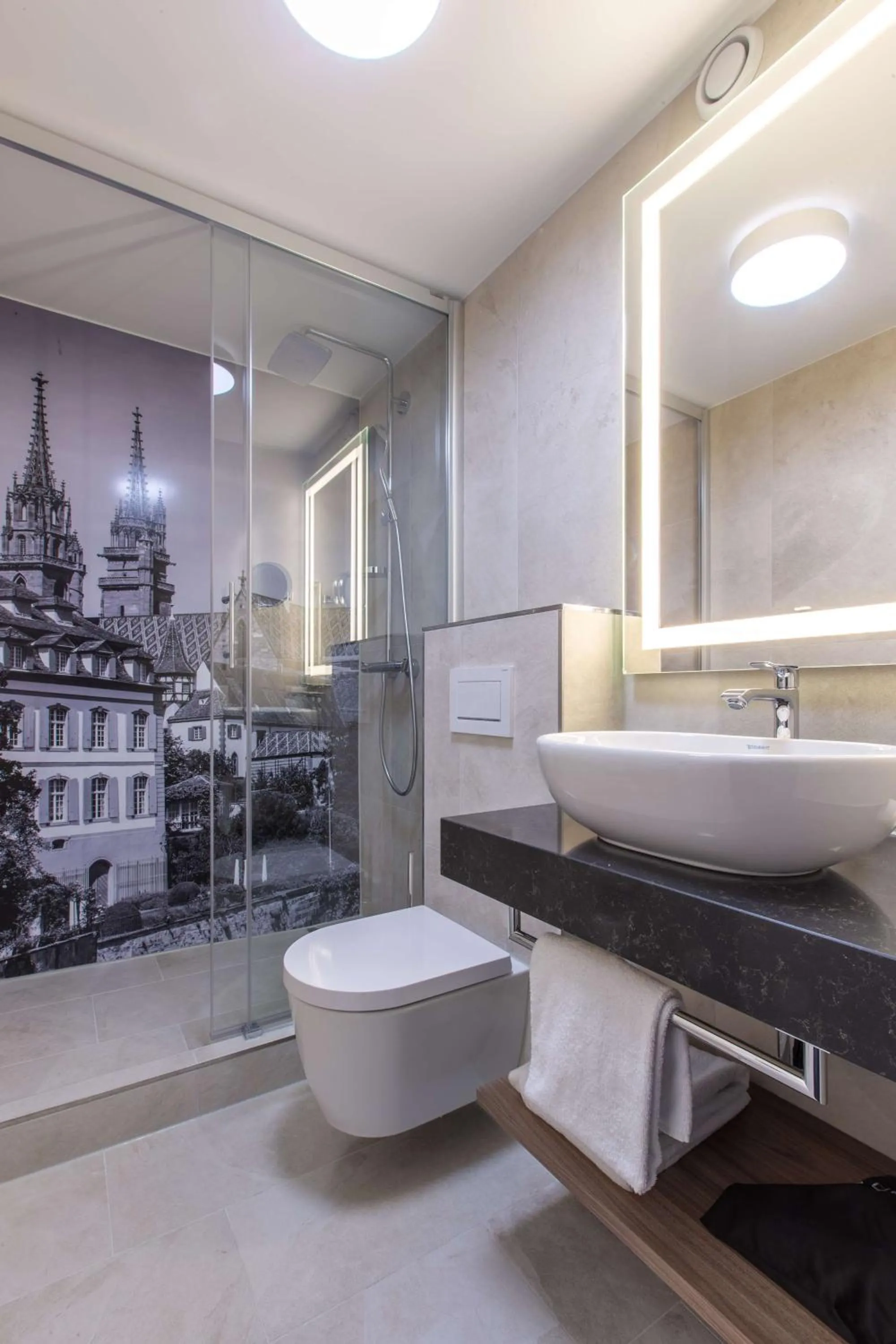 Shower in Radisson Blu, Basel