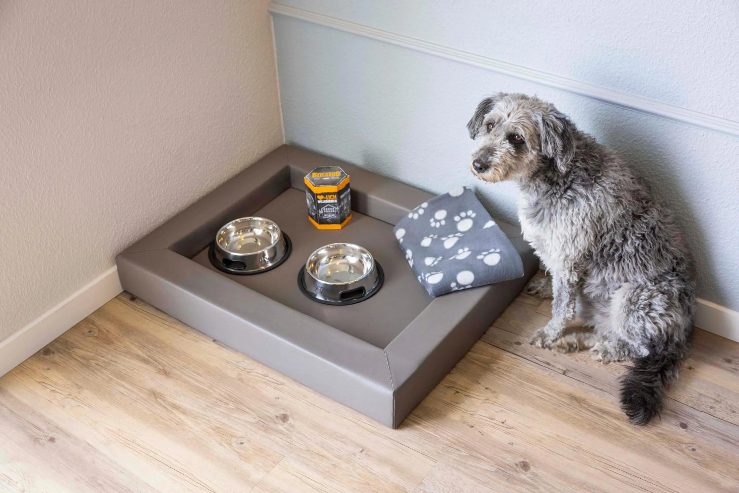 Pets in TUI BLUE Sylt