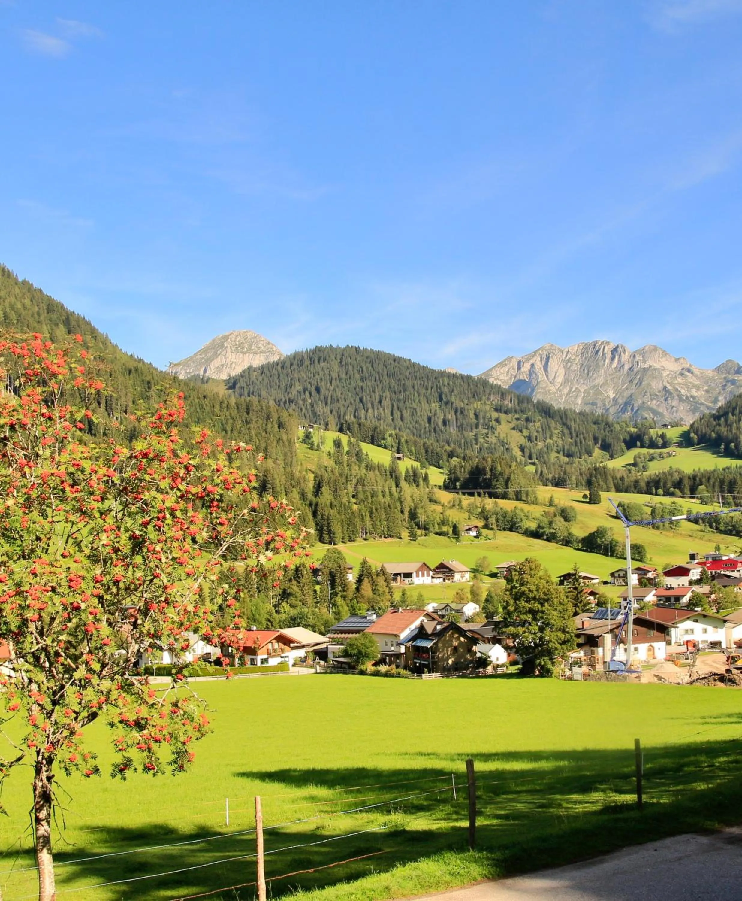 Day in Boutique Hotel Alpenhof