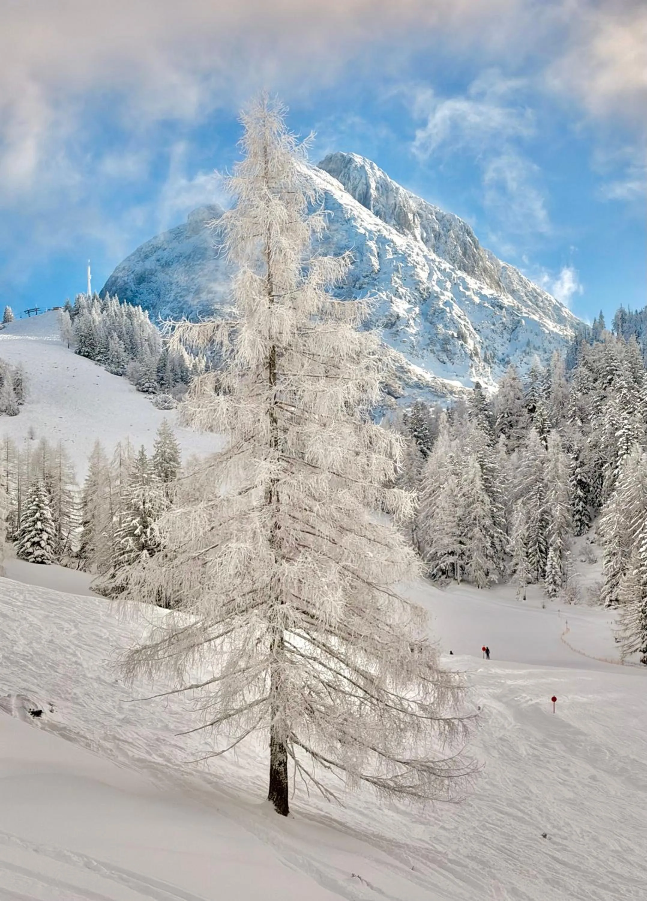 Natural landscape in Boutique Hotel Alpenhof