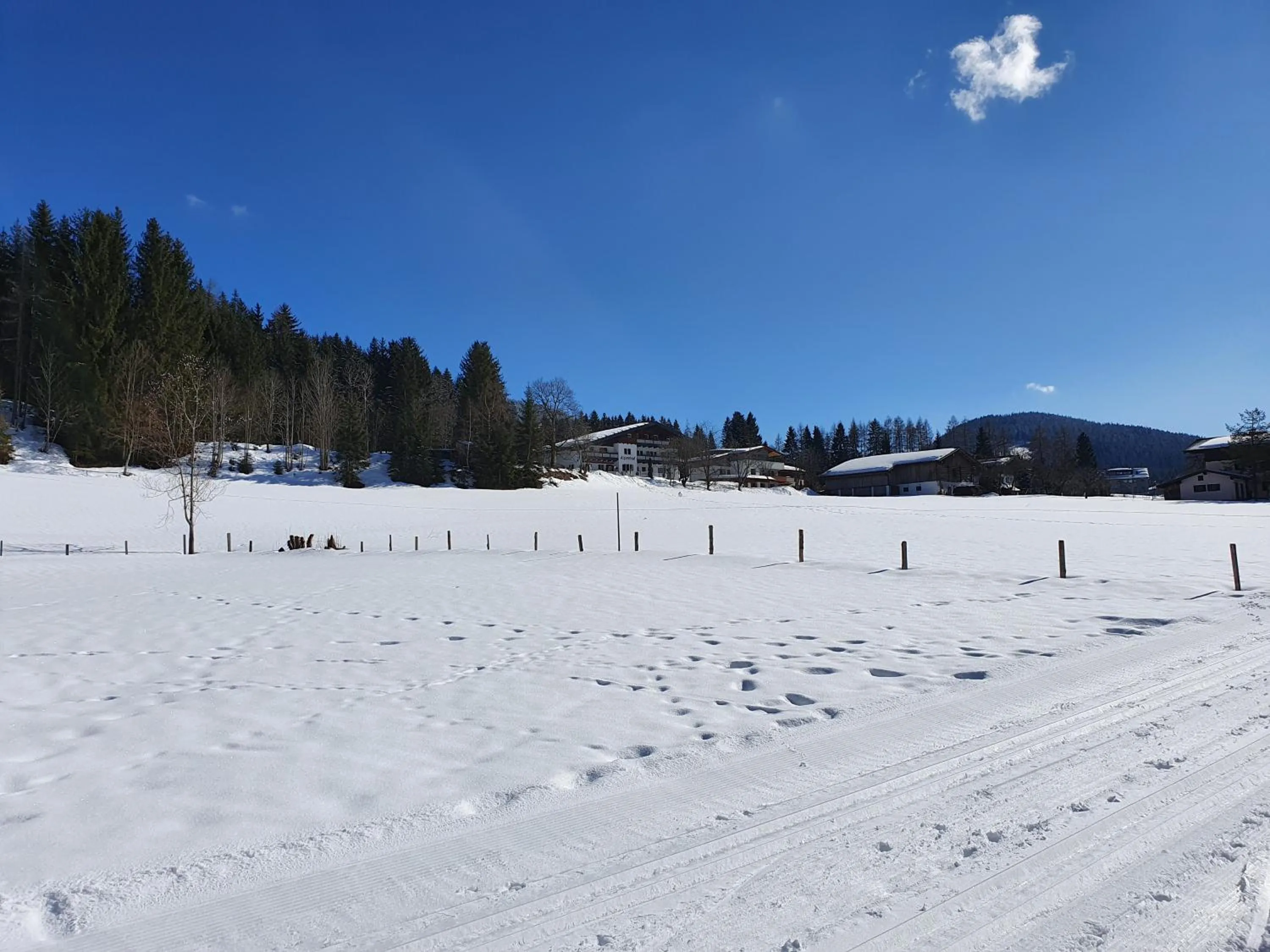 Property building in Boutique Hotel Alpenhof