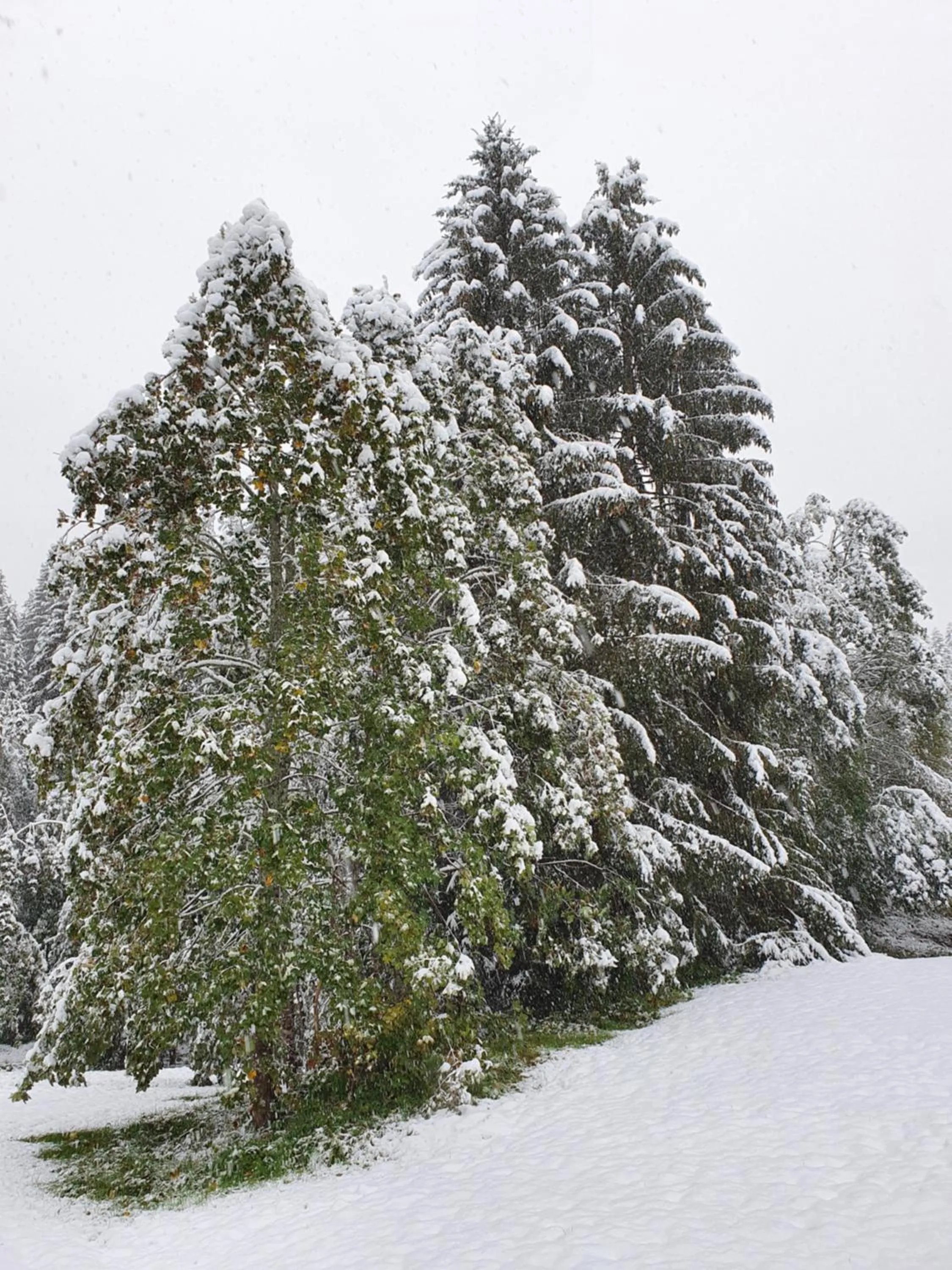 Winter in Boutique Hotel Alpenhof