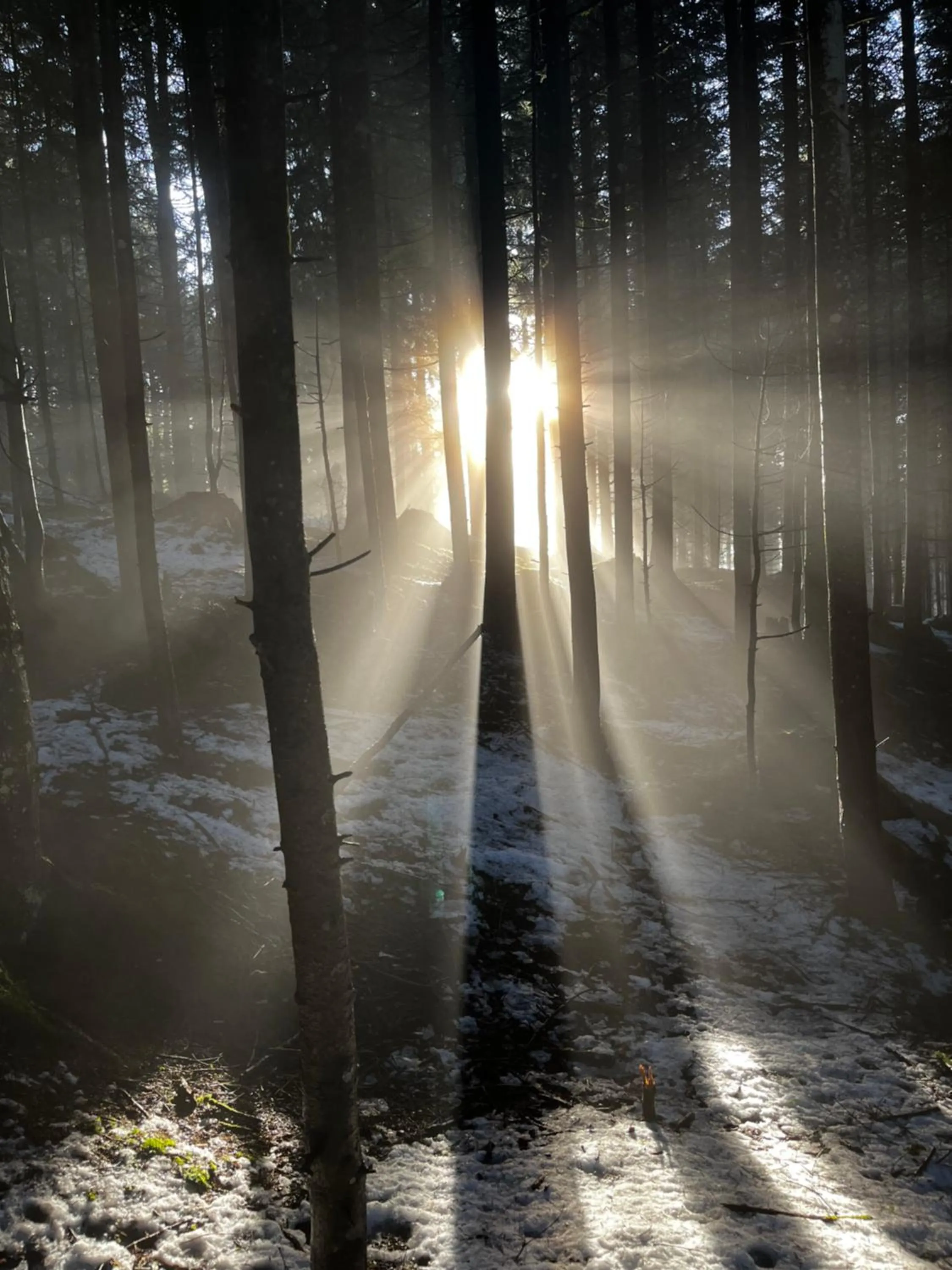 Natural landscape in Boutique Hotel Alpenhof