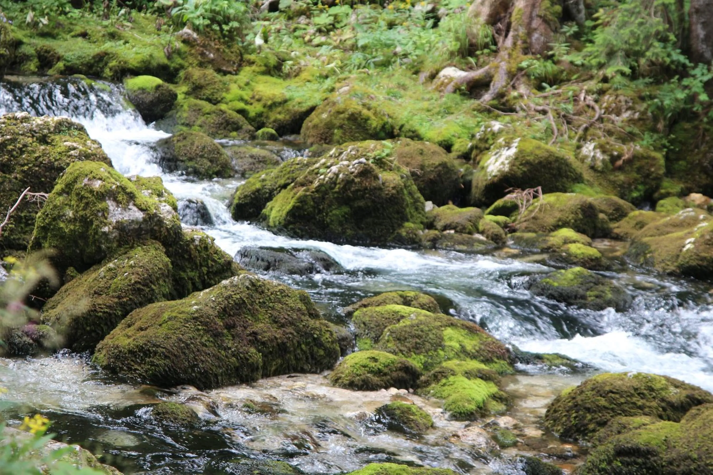 Activities in Boutique Hotel Alpenhof