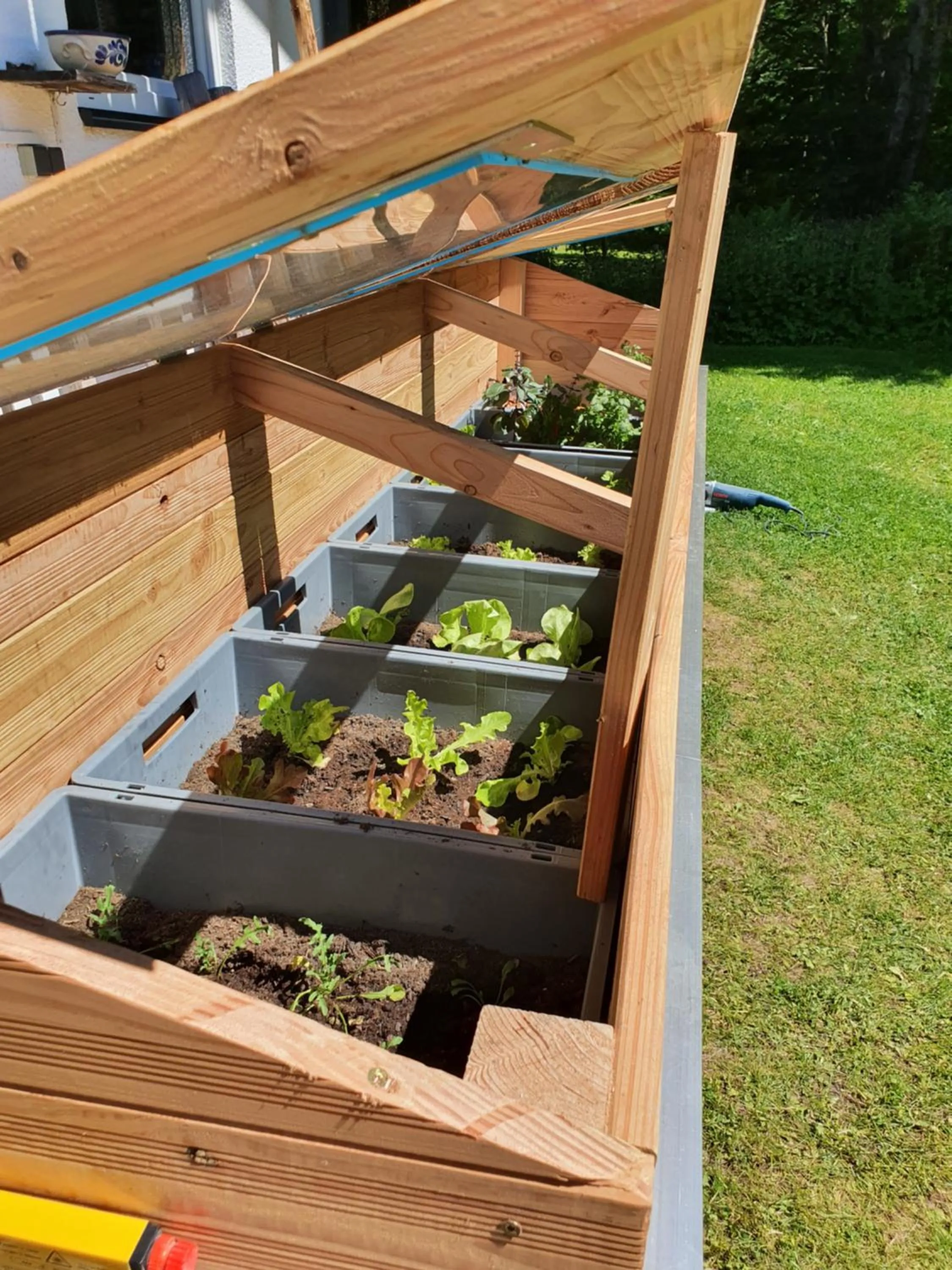 Food in Boutique Hotel Alpenhof