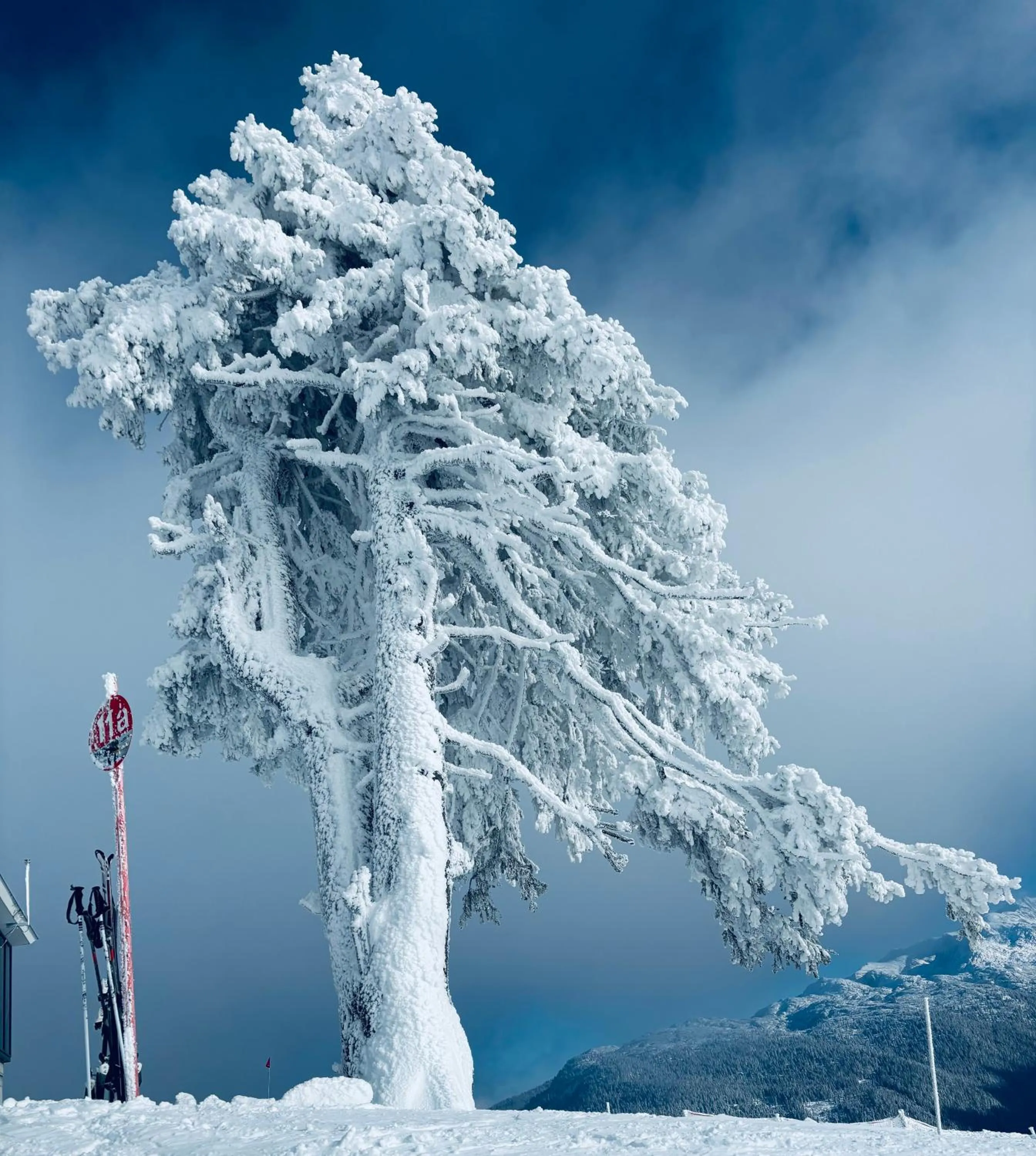 Day in Boutique Hotel Alpenhof