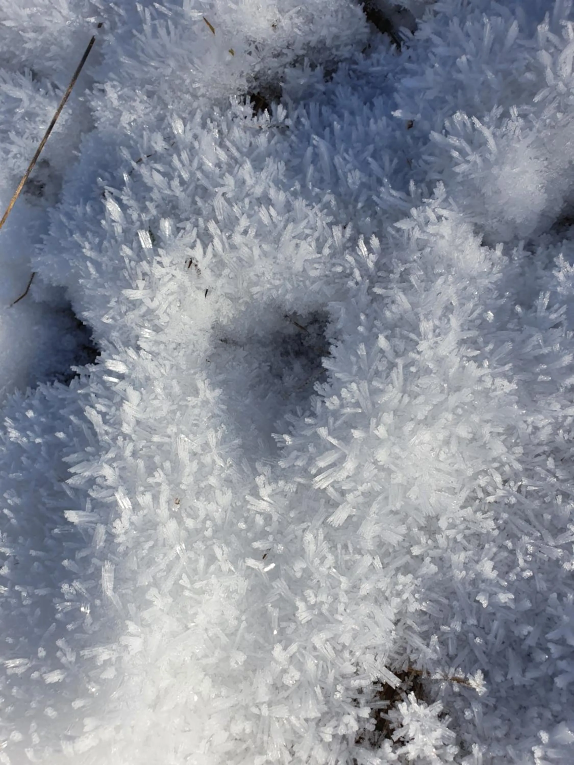 Natural landscape in Boutique Hotel Alpenhof