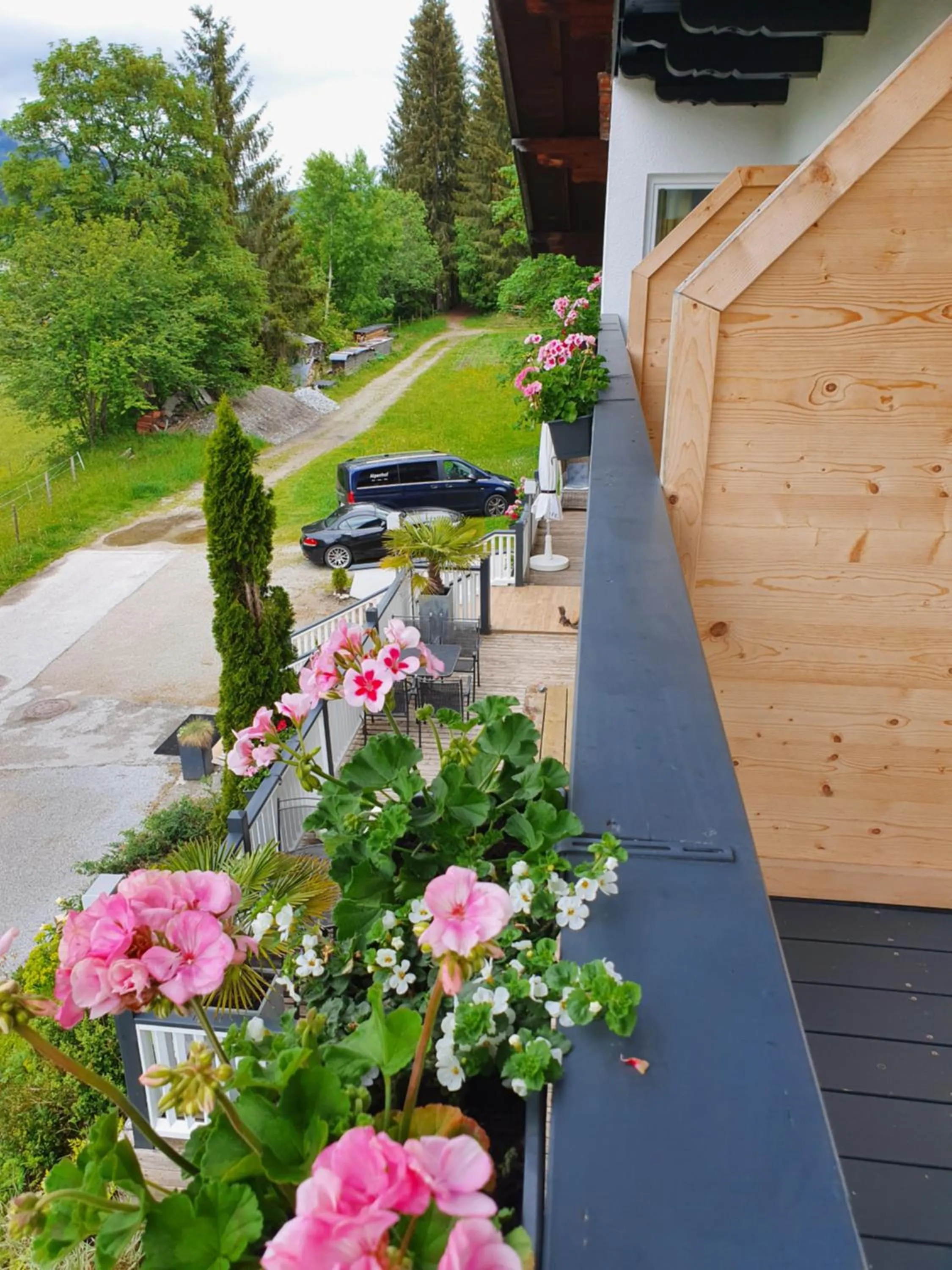 Animals in Boutique Hotel Alpenhof