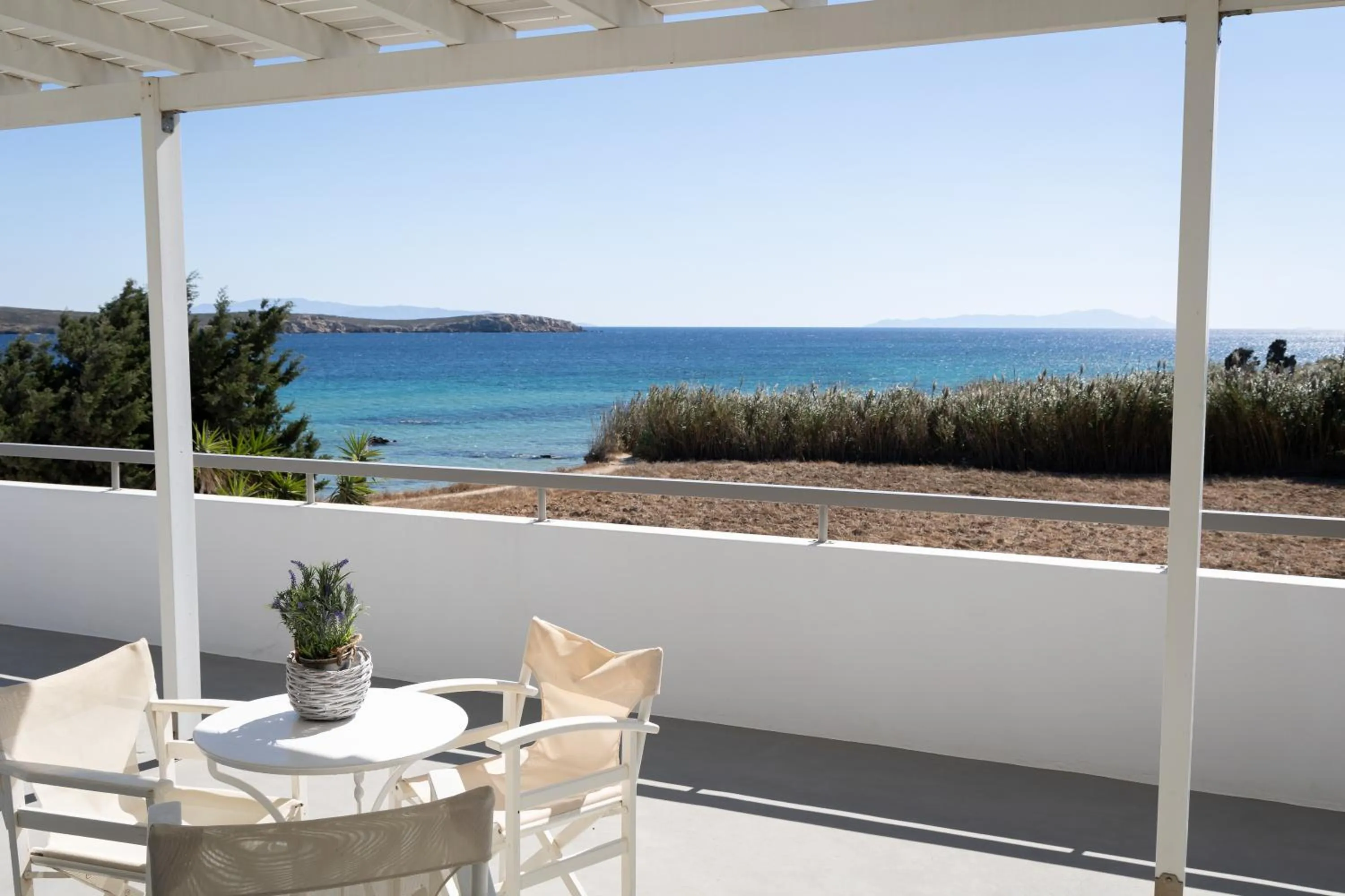 Natural landscape in Seample studios