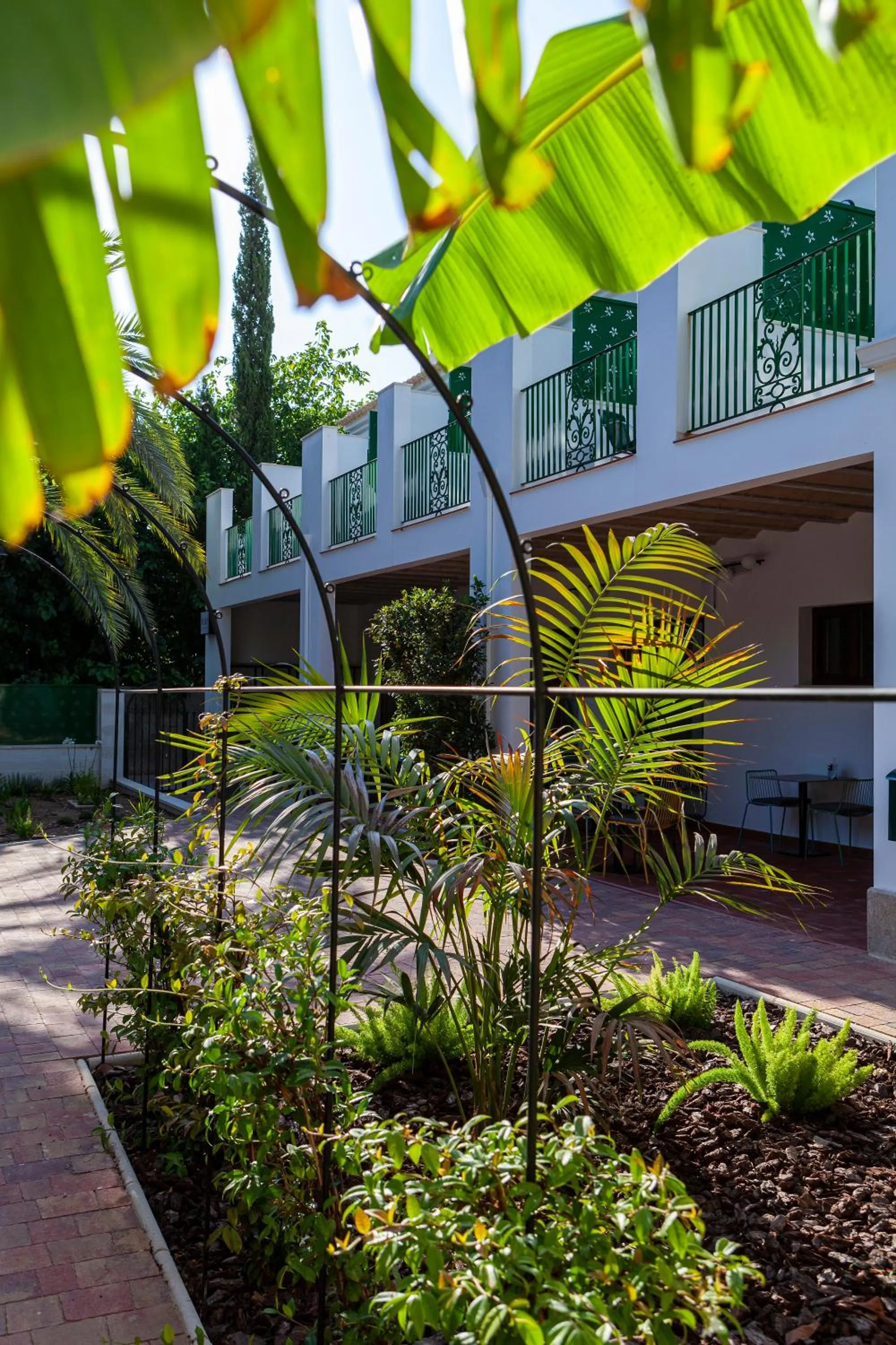 Garden in Ad Hoc Vitae Retreats & Health Only Adults