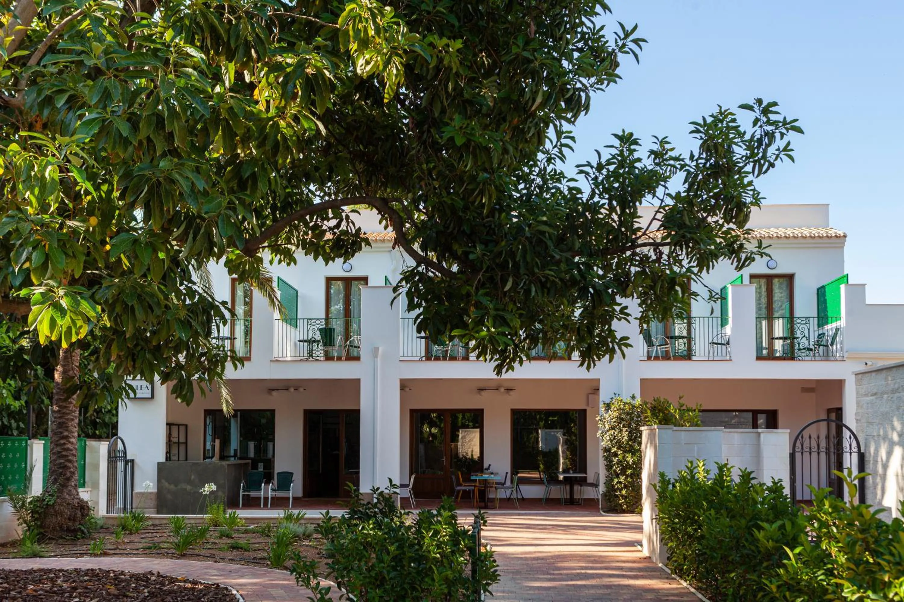 Garden in Ad Hoc Vitae Retreats & Health Only Adults