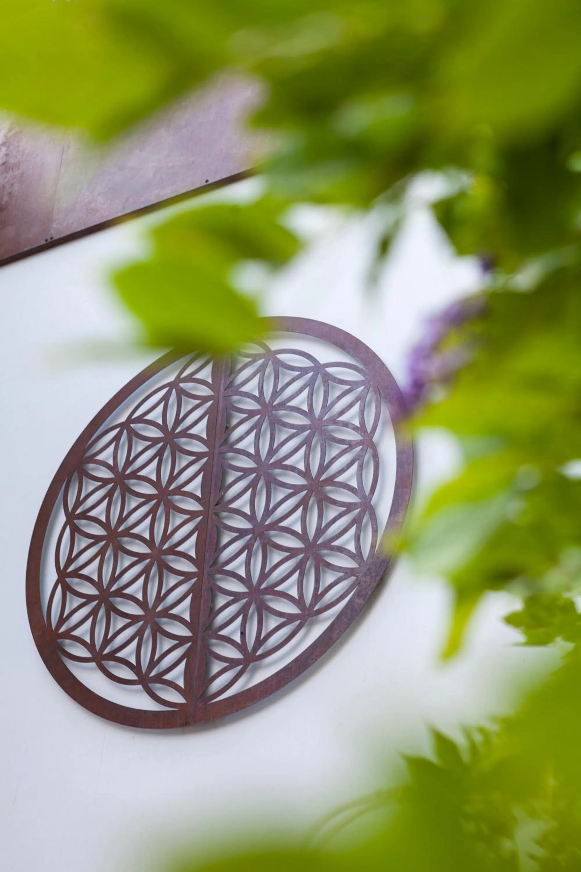 Facade/entrance in Ad Hoc Vitae Retreats & Health Only Adults