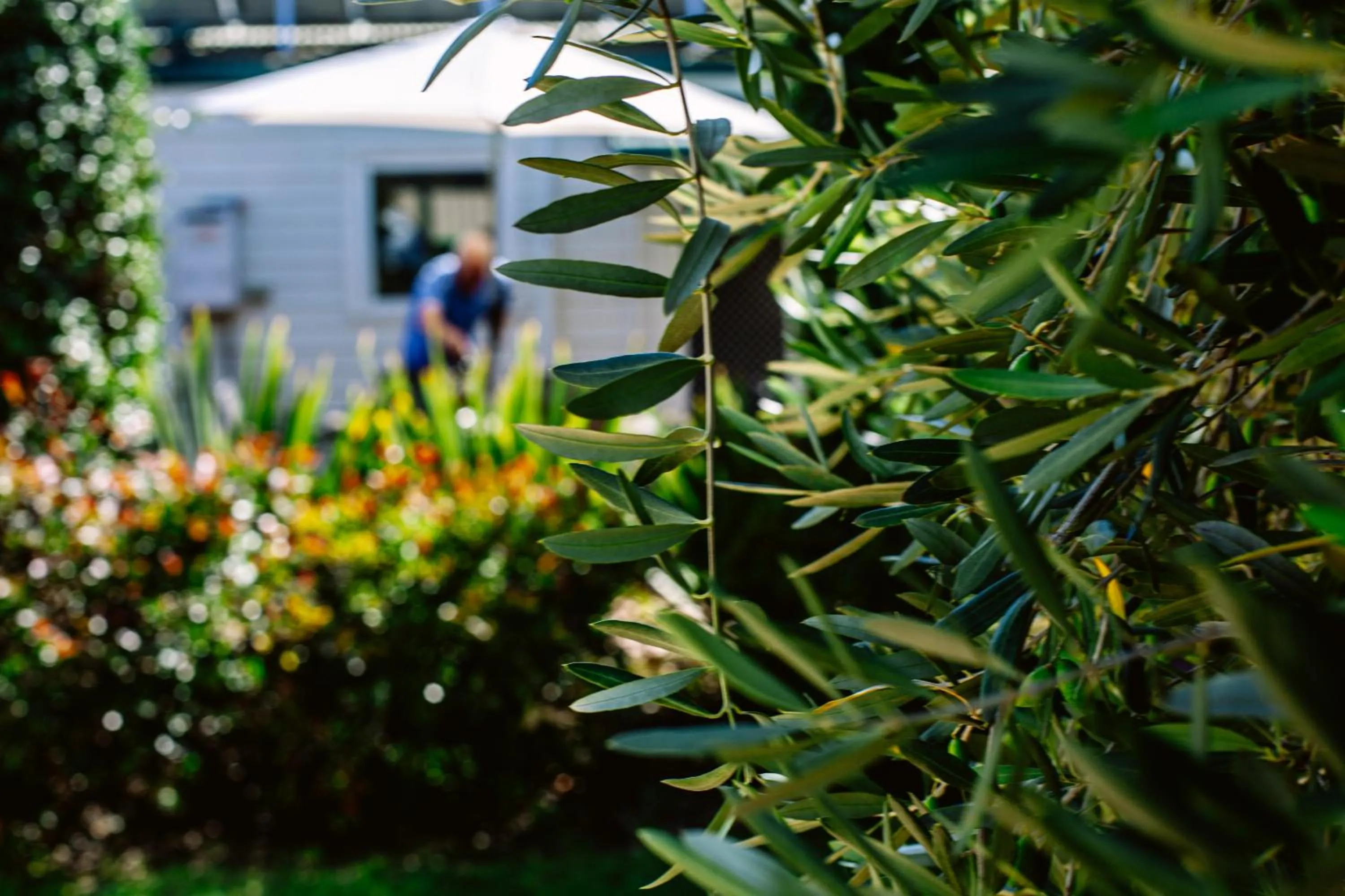 Garden in Isabella at Kyneton