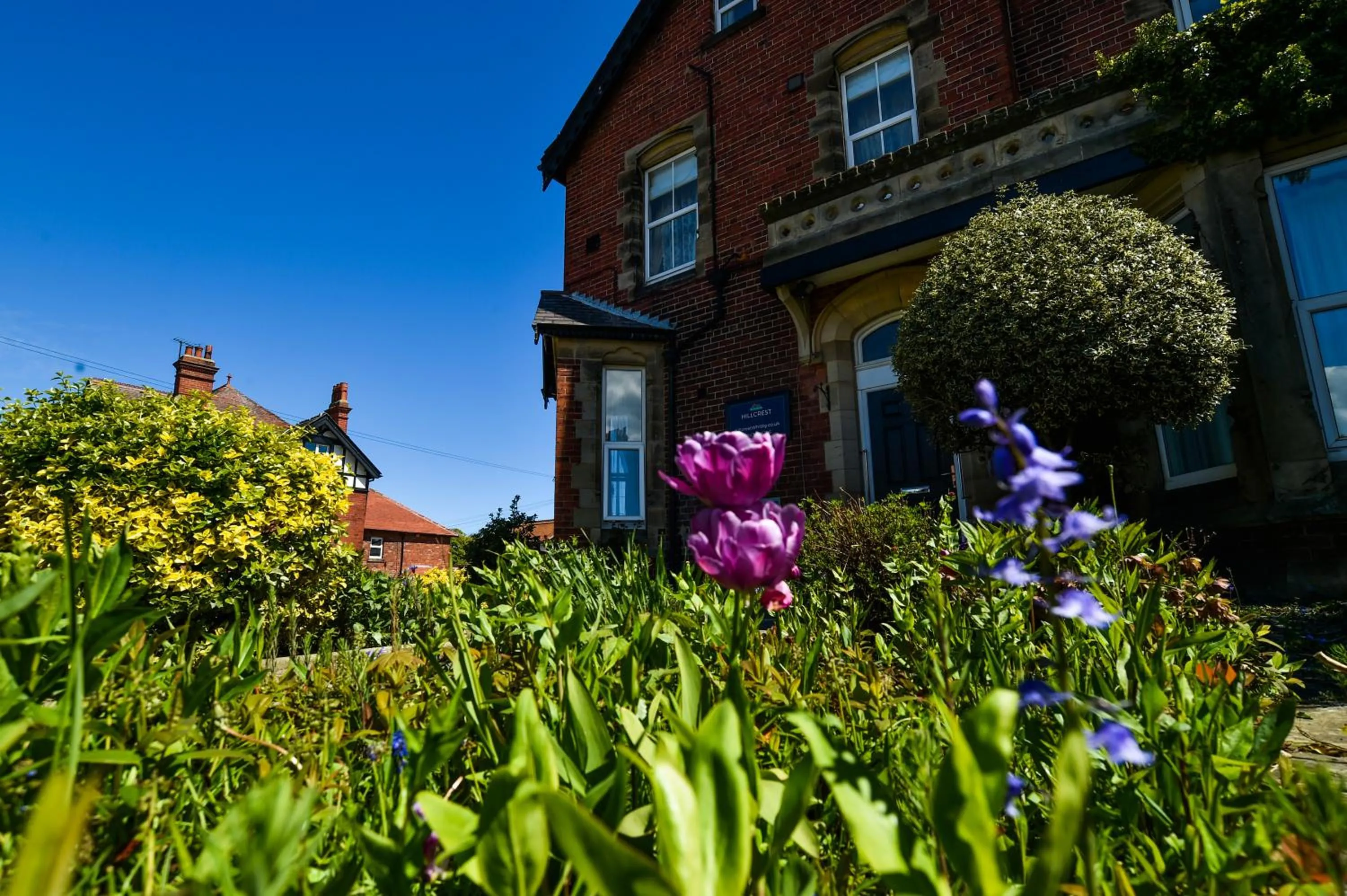 Property building in Hillcrest Whitby