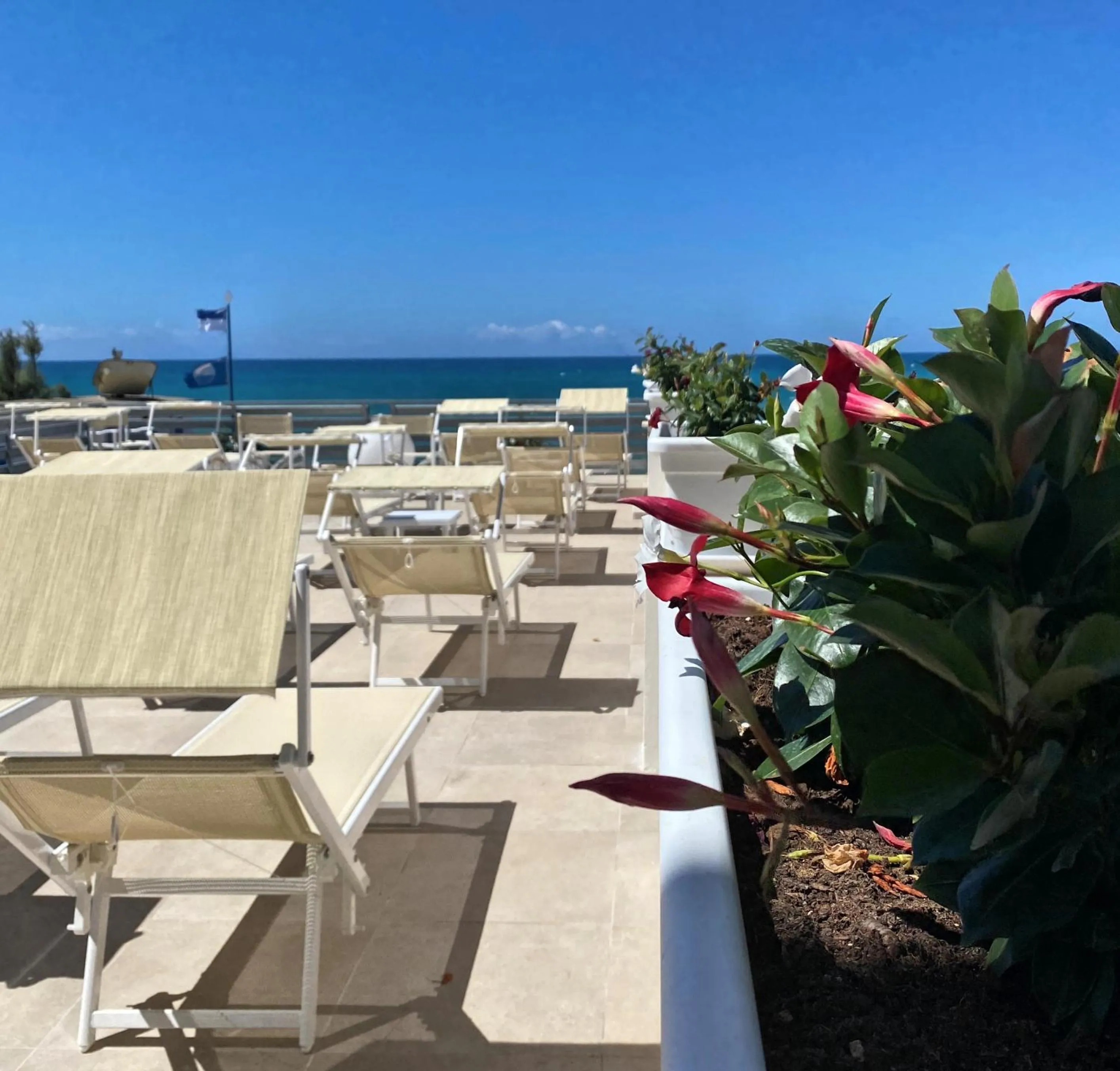 Balcony/Terrace in Hotel Cecina Beach