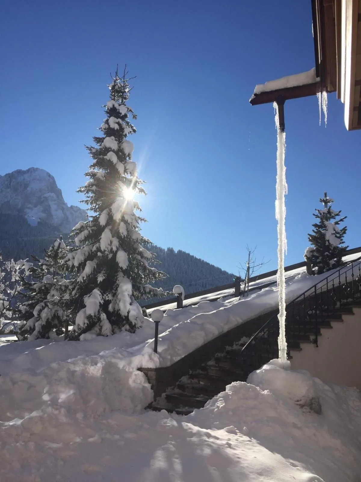 Natural landscape in Apartments Sunela