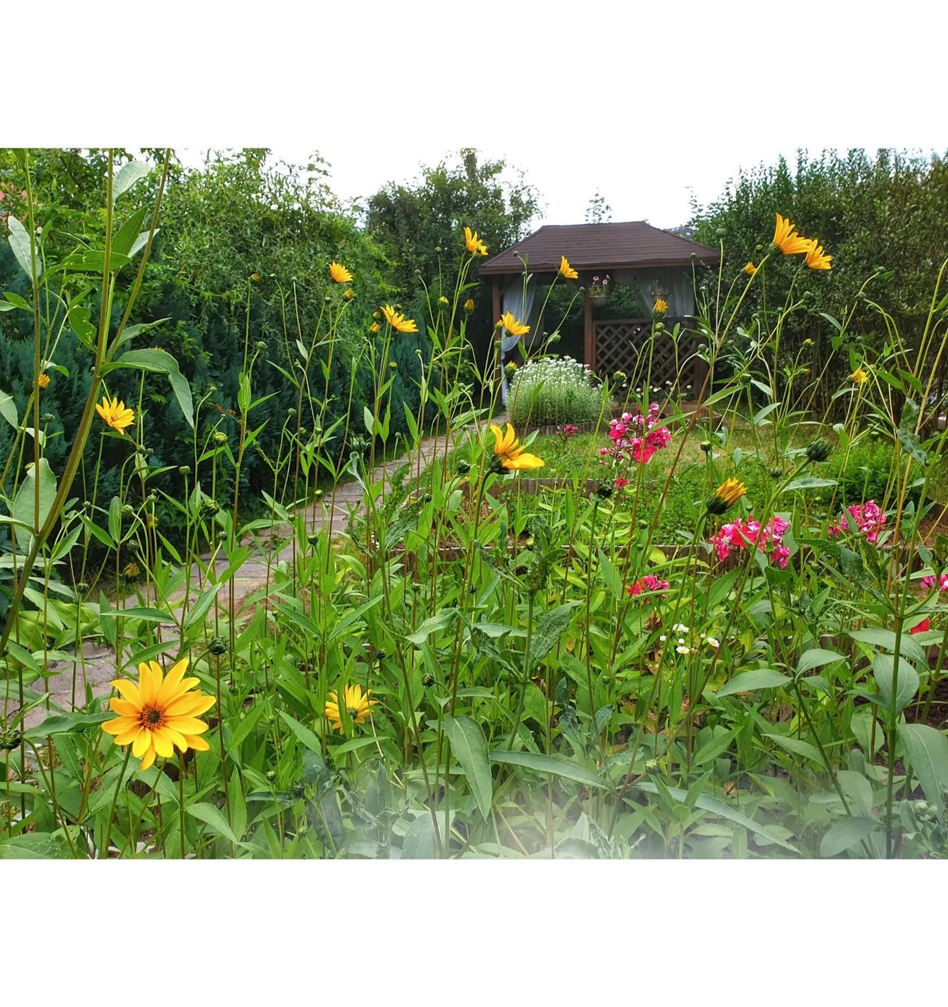 Garden in ROMANTIK HOTEL ELEONORA
