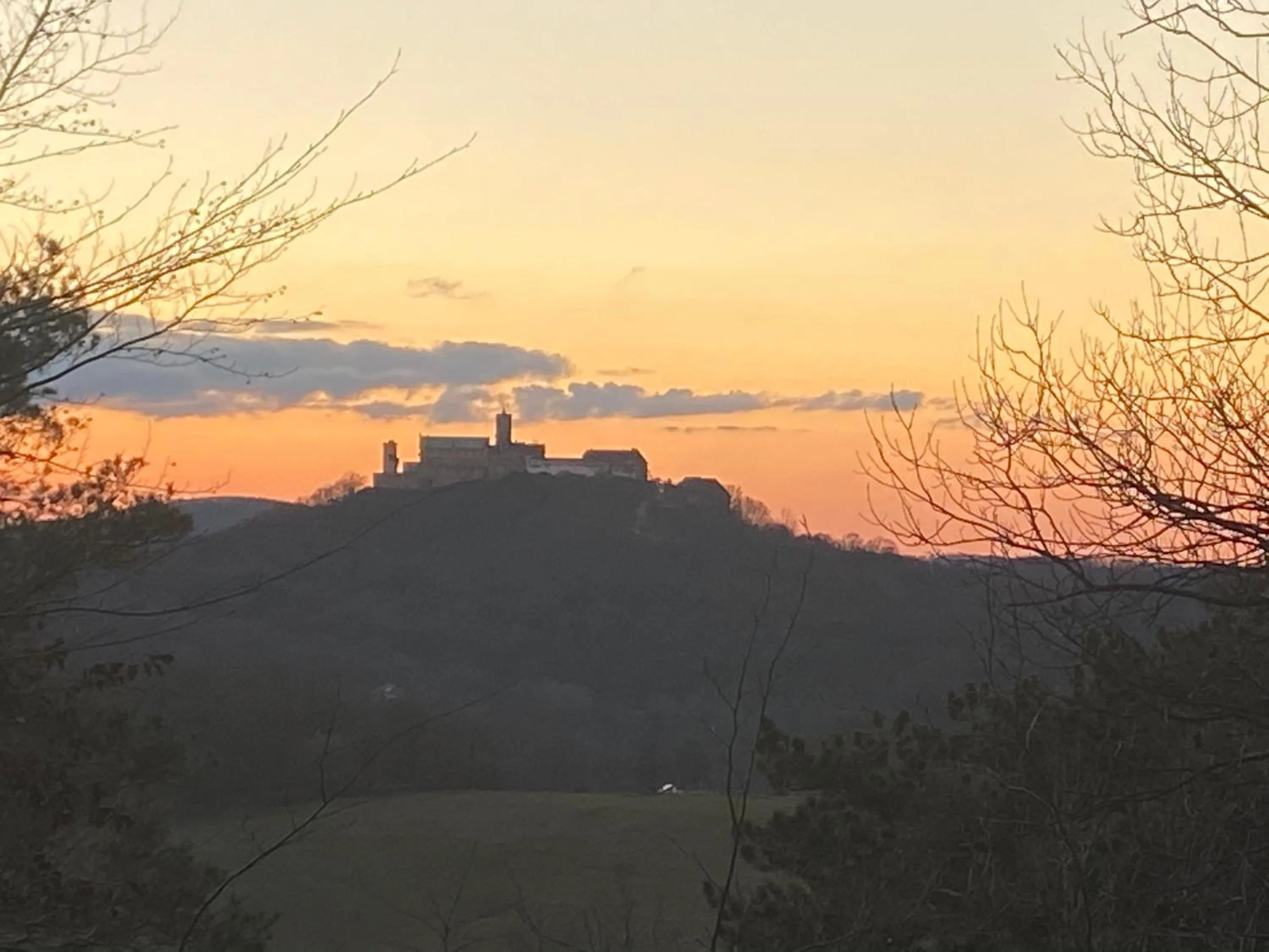Natural landscape in City Hotel