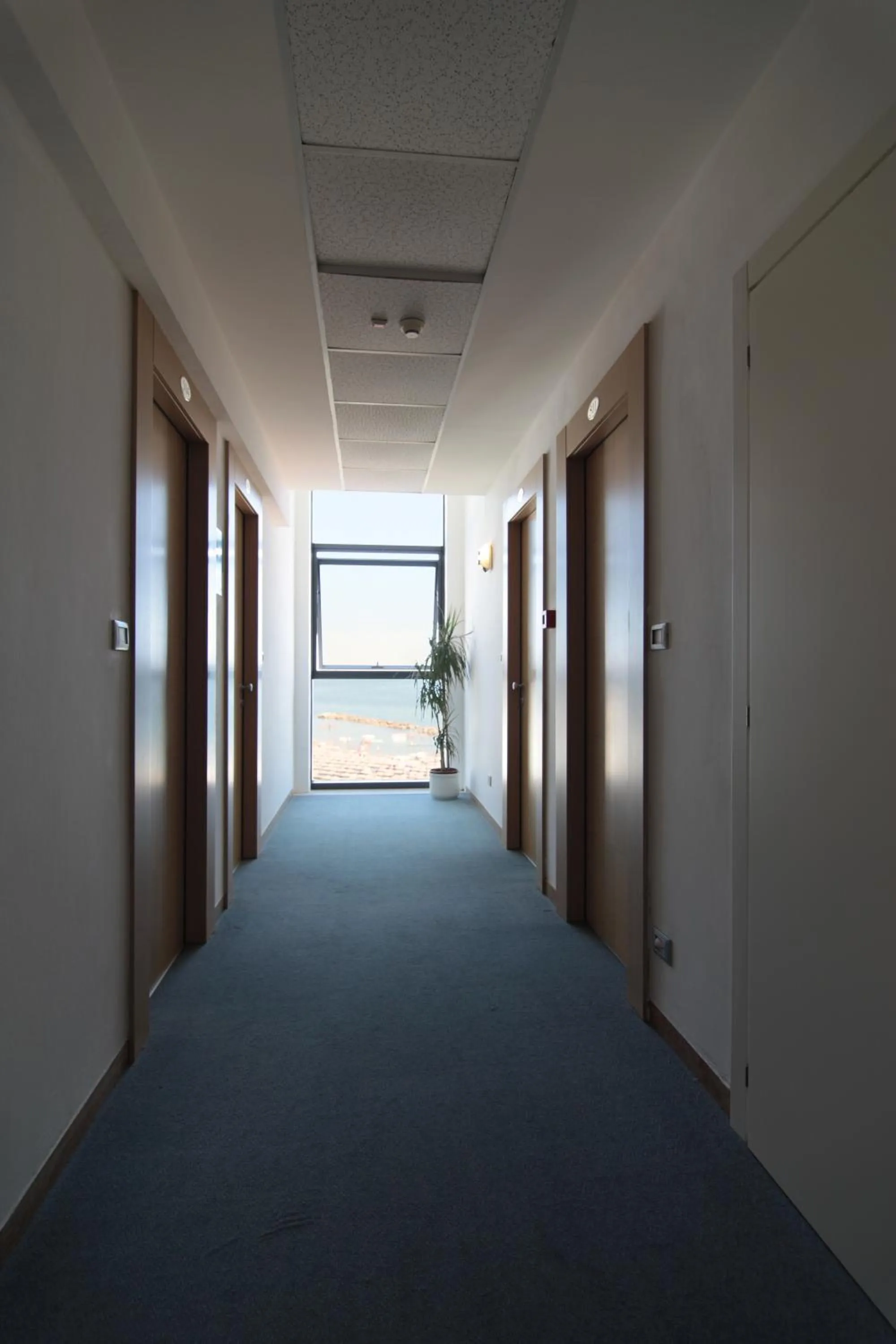 Area and facilities in Hotel Acropolis