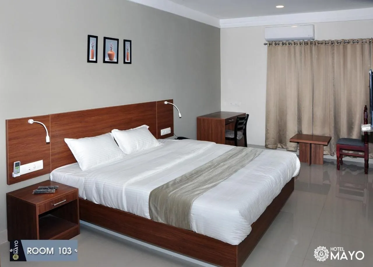 Deluxe Double Room in Hotel Mayo