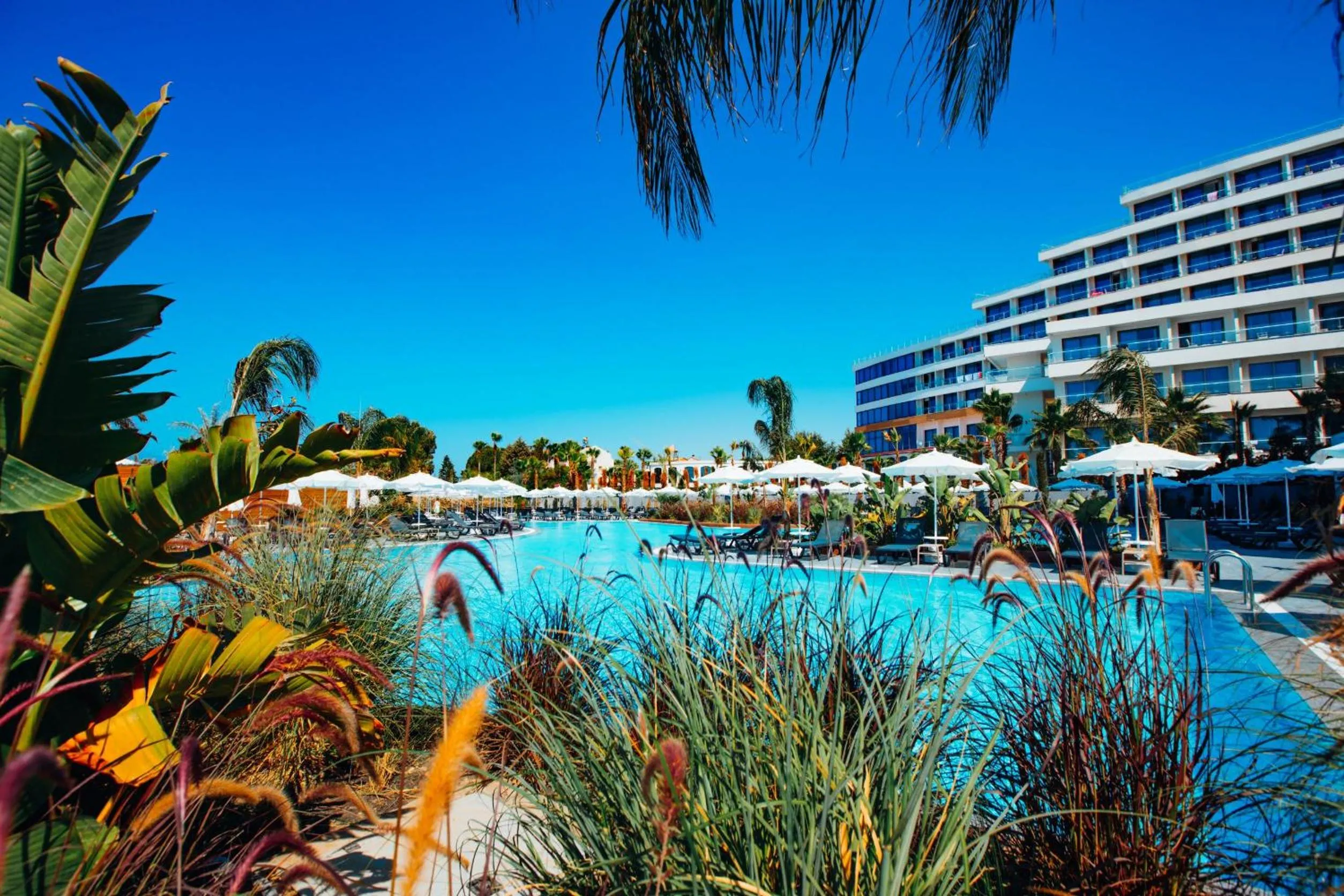 Swimming pool in Alarcha Hotels & Resort - All Inclusive