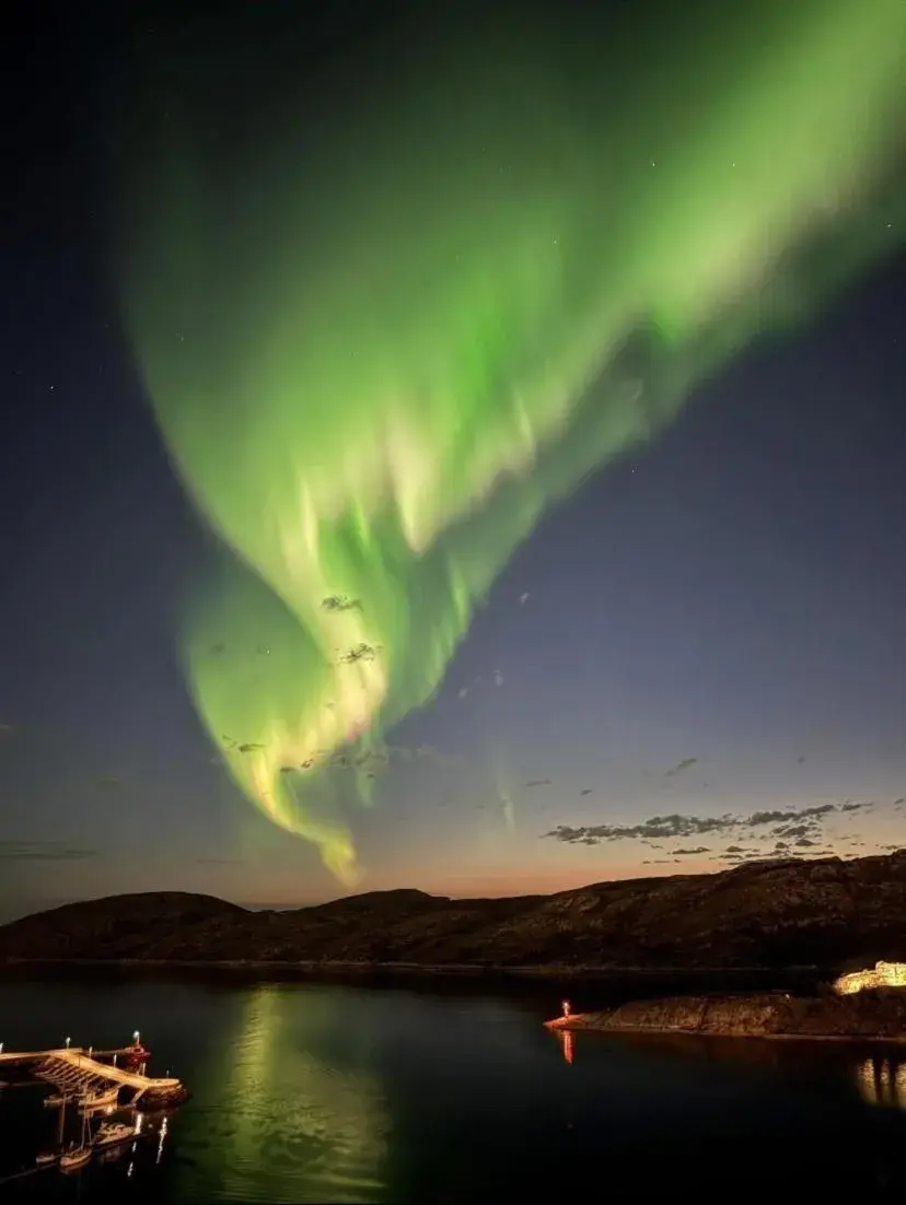 View (from property/room) in Scandic Havet View (from property/room) in Scandic Havet