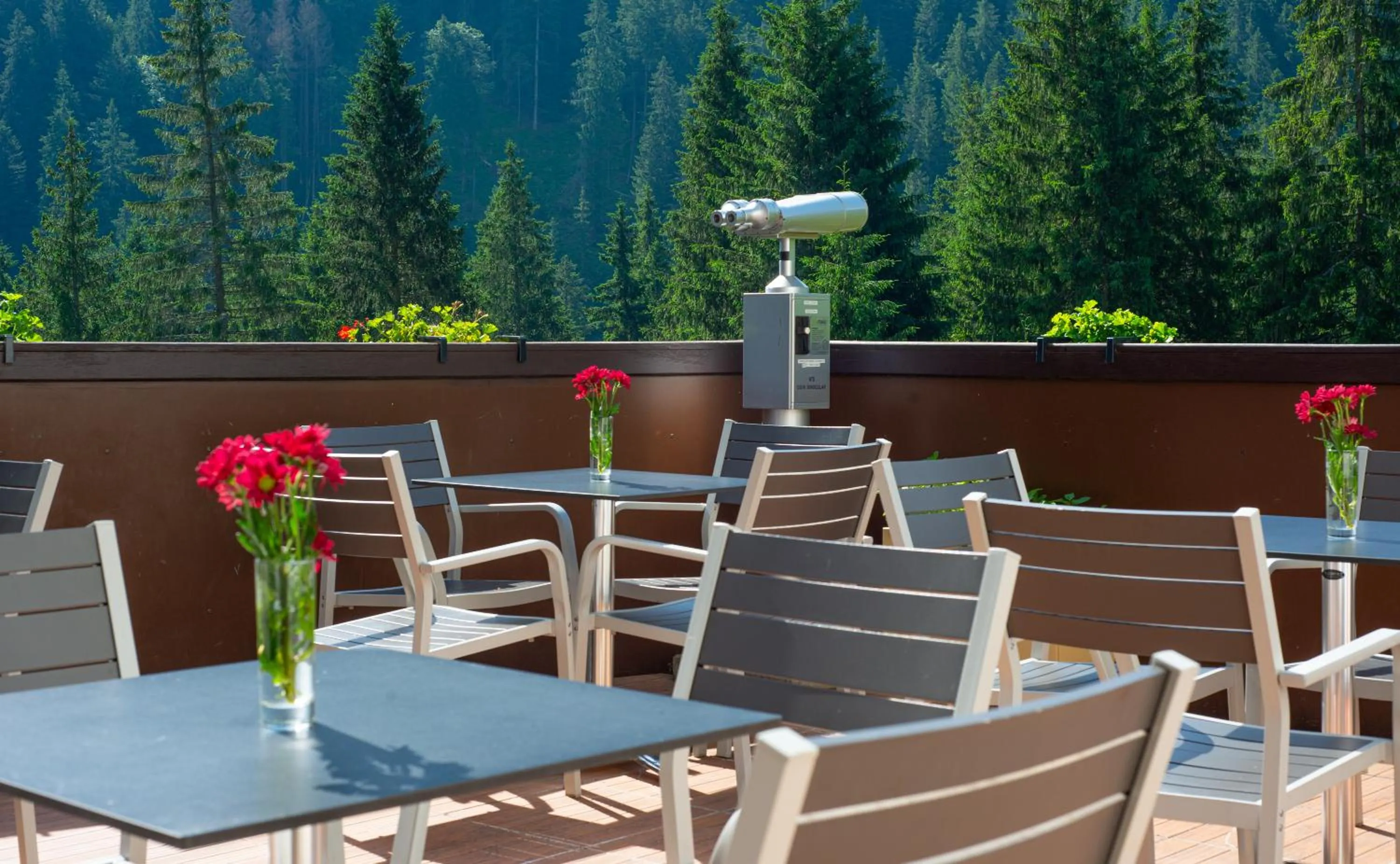 Natural landscape in Wellness Hotel Repiska