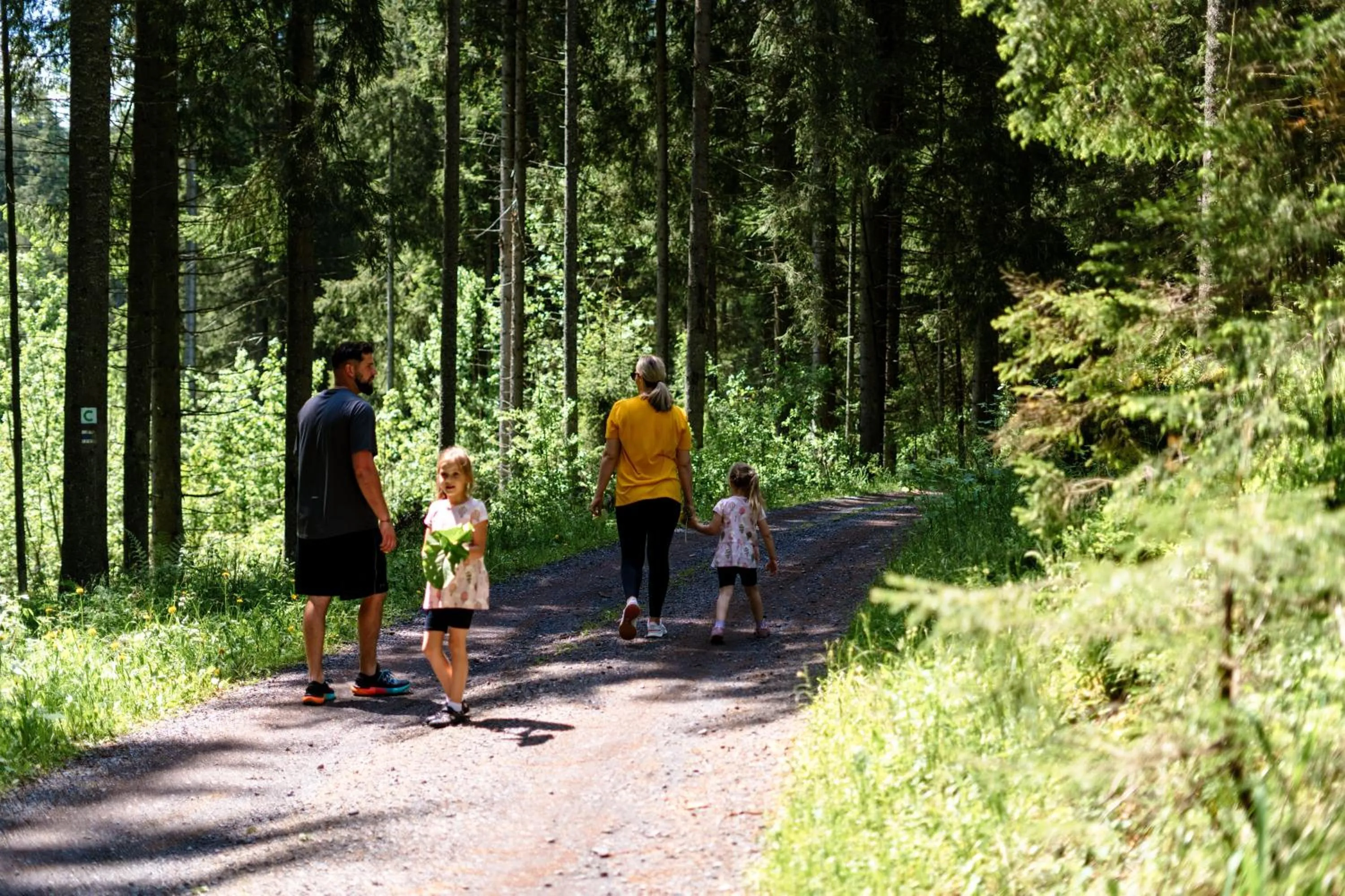 Natural landscape in Wellness Hotel Repiska