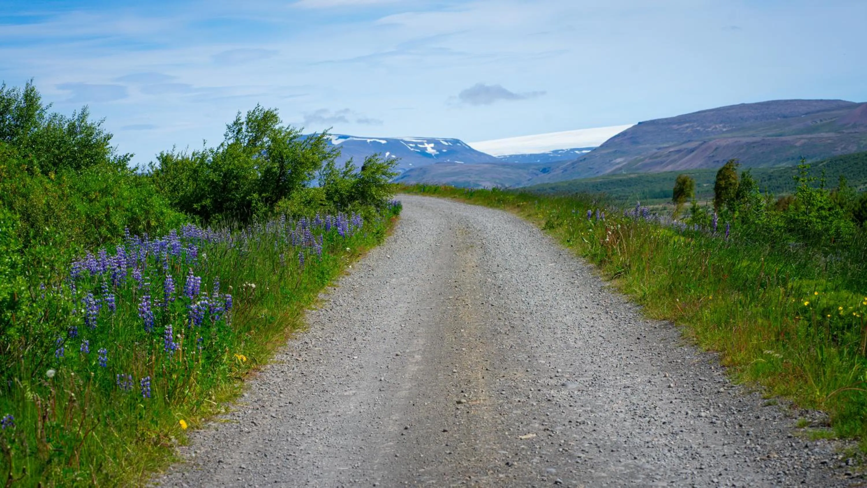 View (from property/room) in Hótel Á