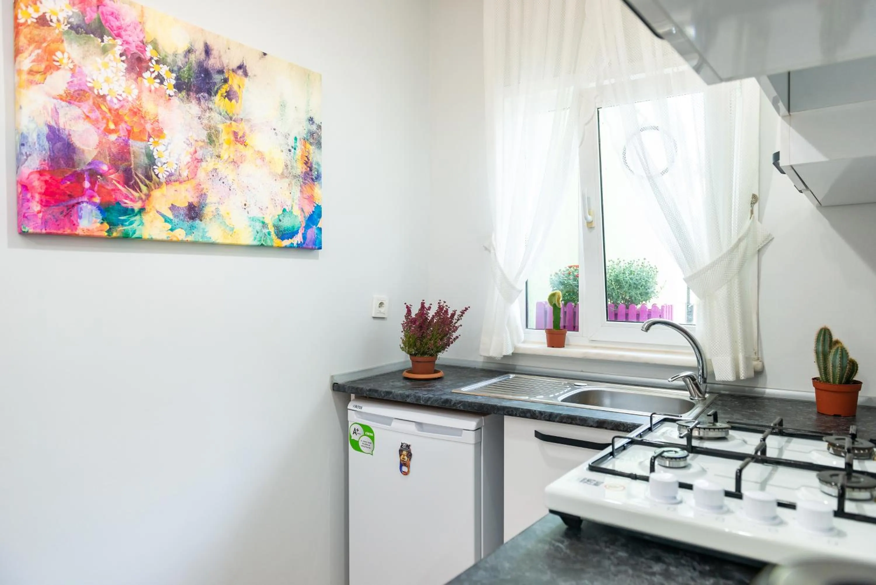 Kitchen or kitchenette in Dualis Hotel